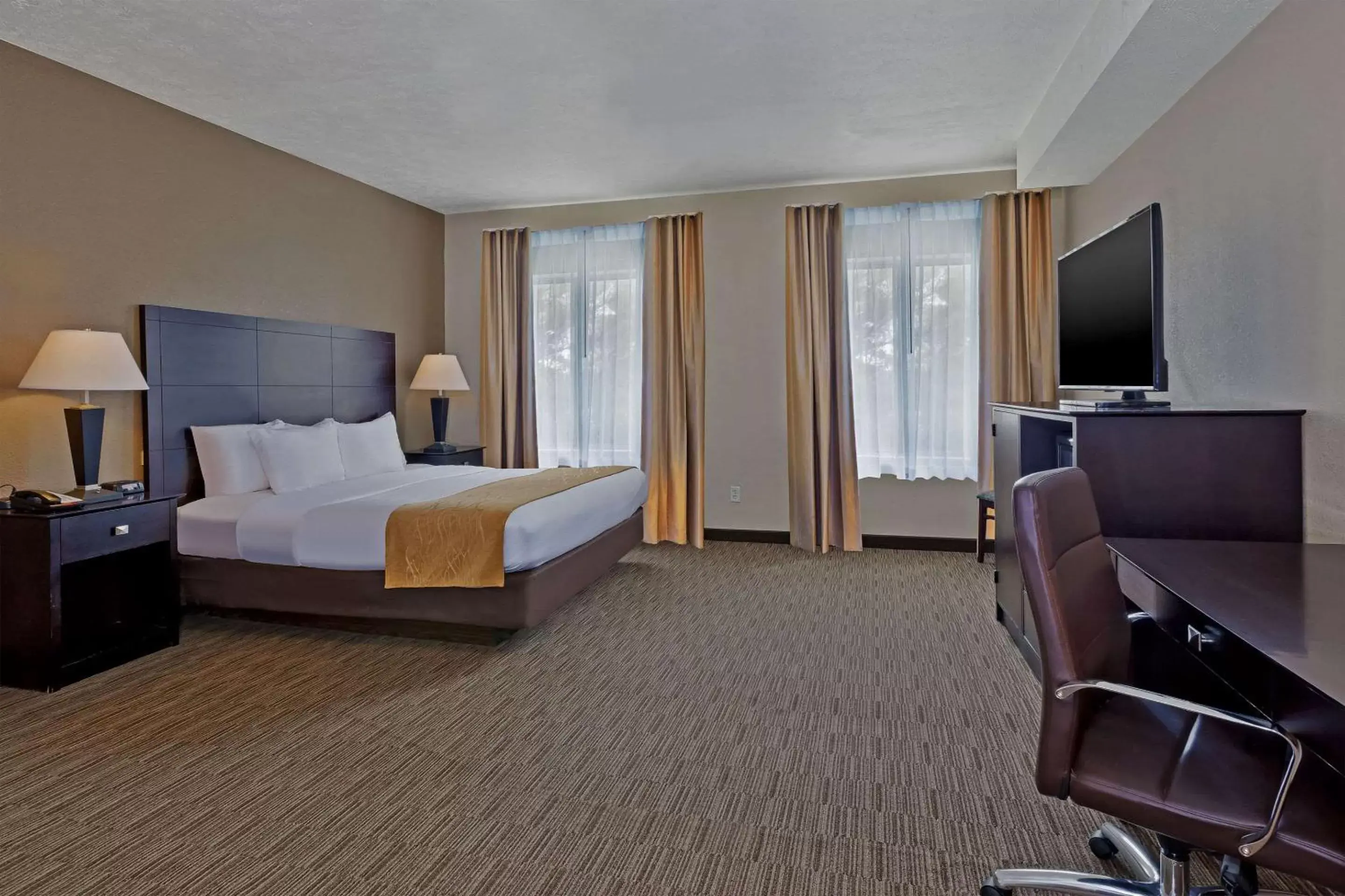 Photo of the whole room, TV/Entertainment Center in Comfort Inn Whitehall near Michigan's Adventure
