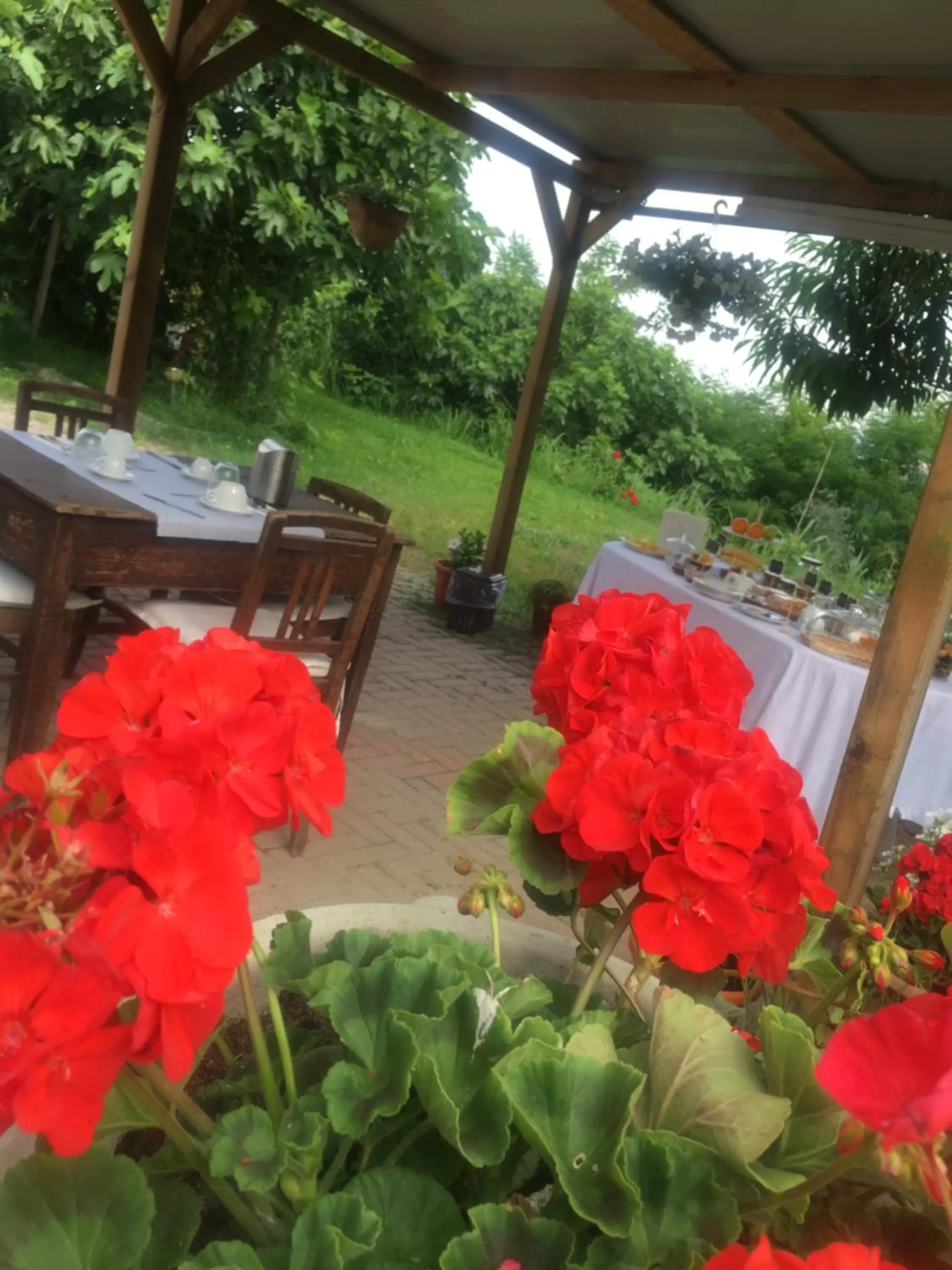 Rossella alla Villarella dei Tulipani