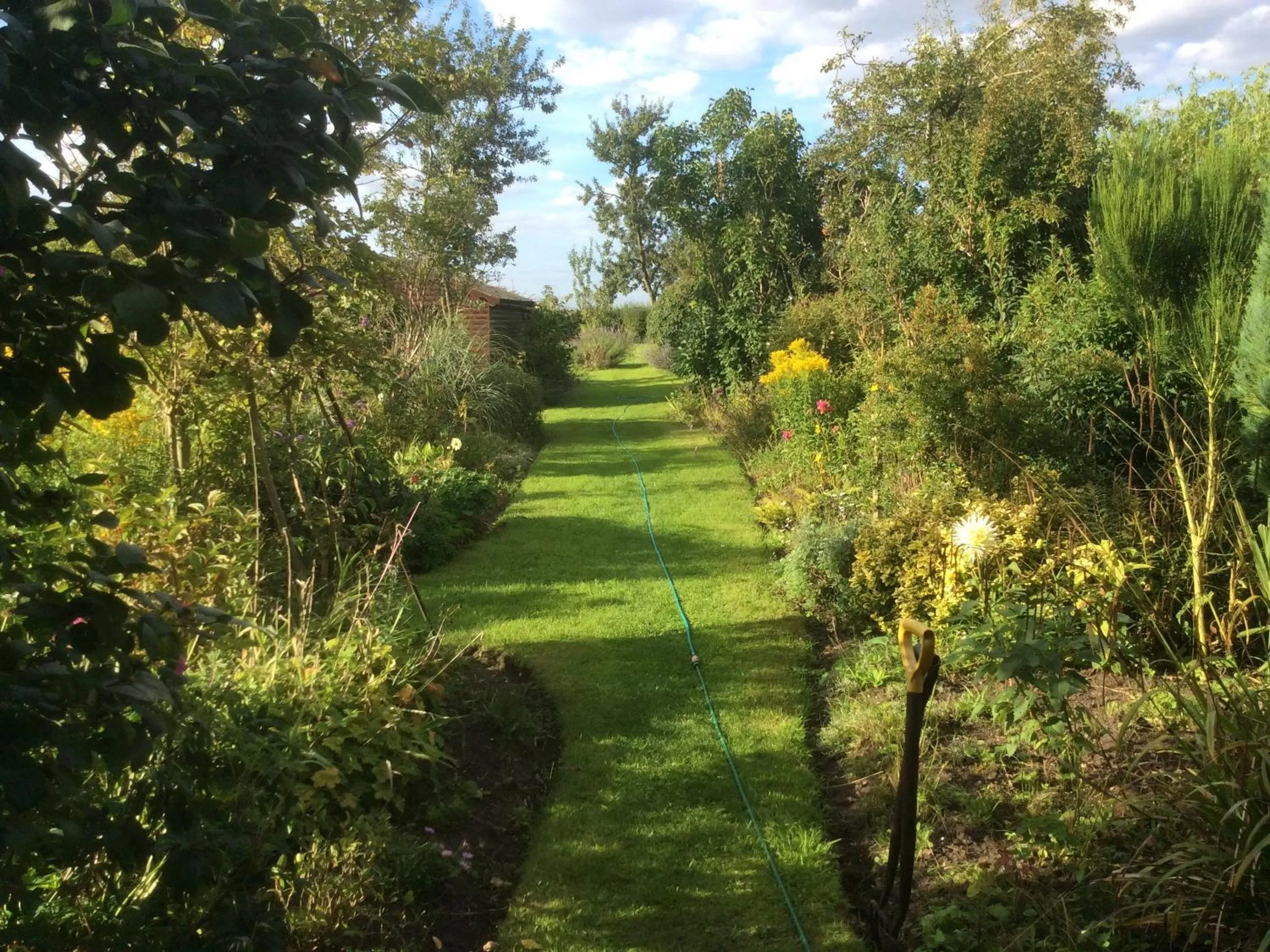 View (from property/room) in Laurel Lodge