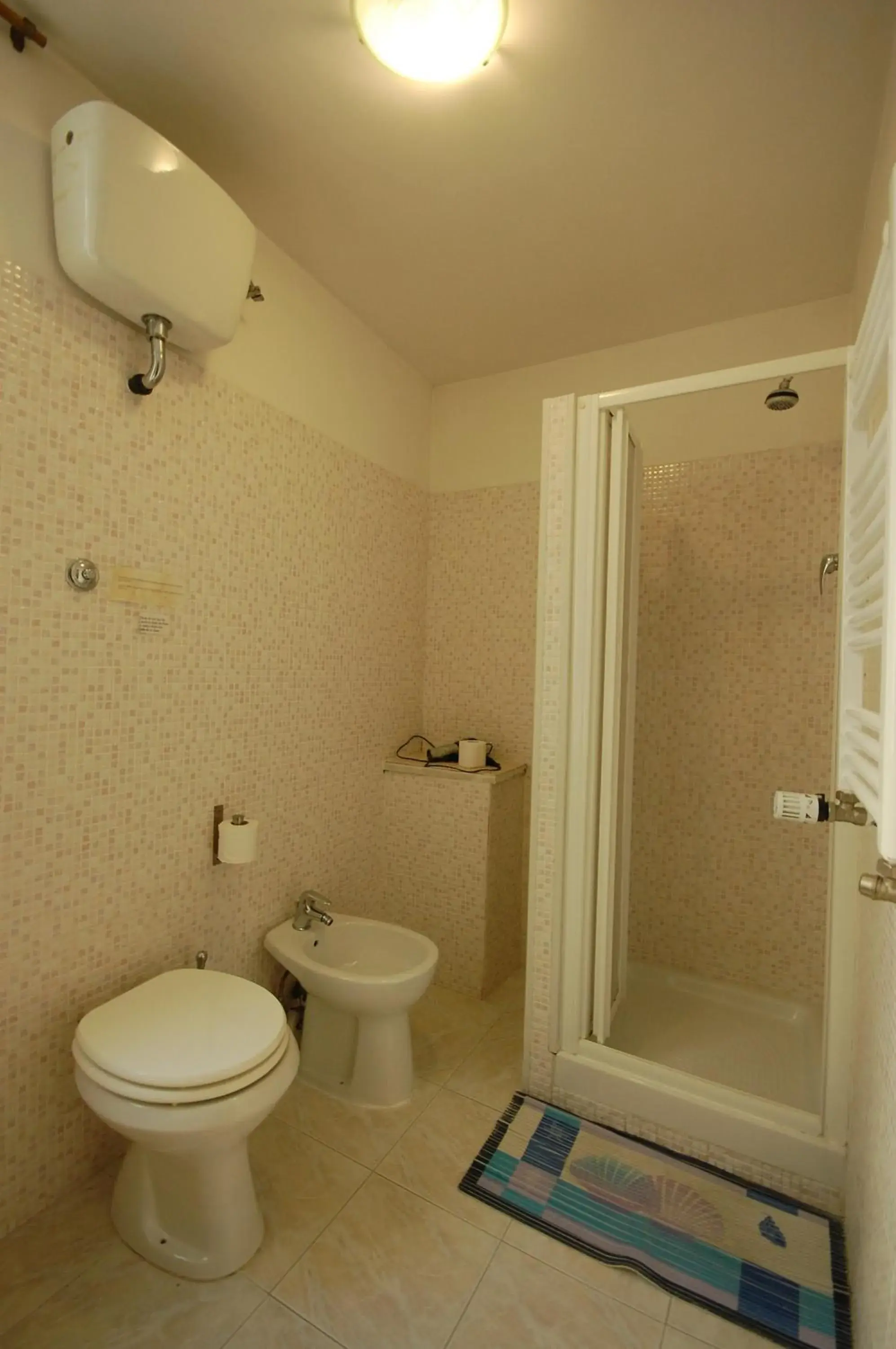 Single Room with Private Bathroom in Hotel Alexis