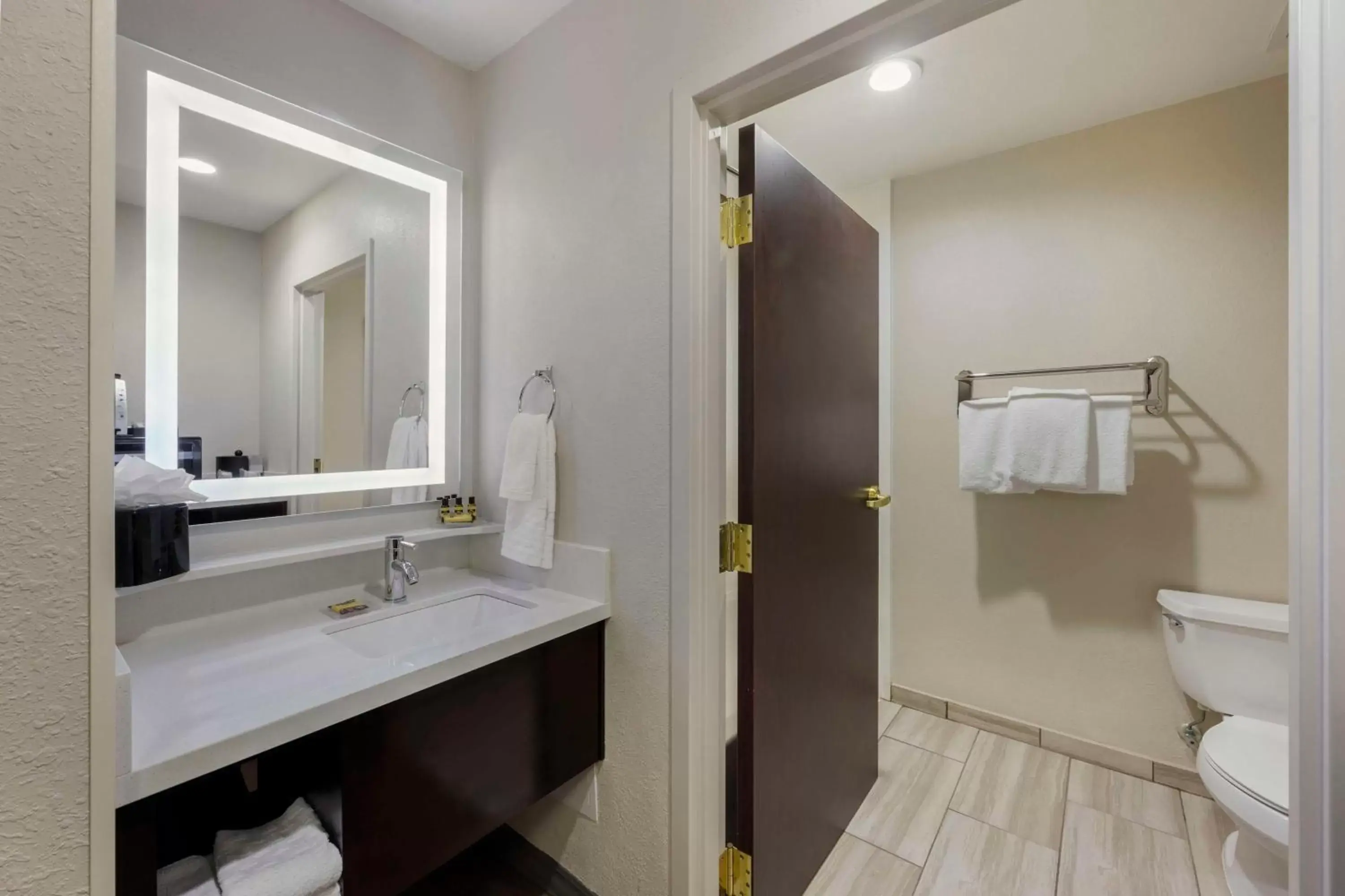 Bathroom in Best Western Plus Nashville Airport Hotel - BNA