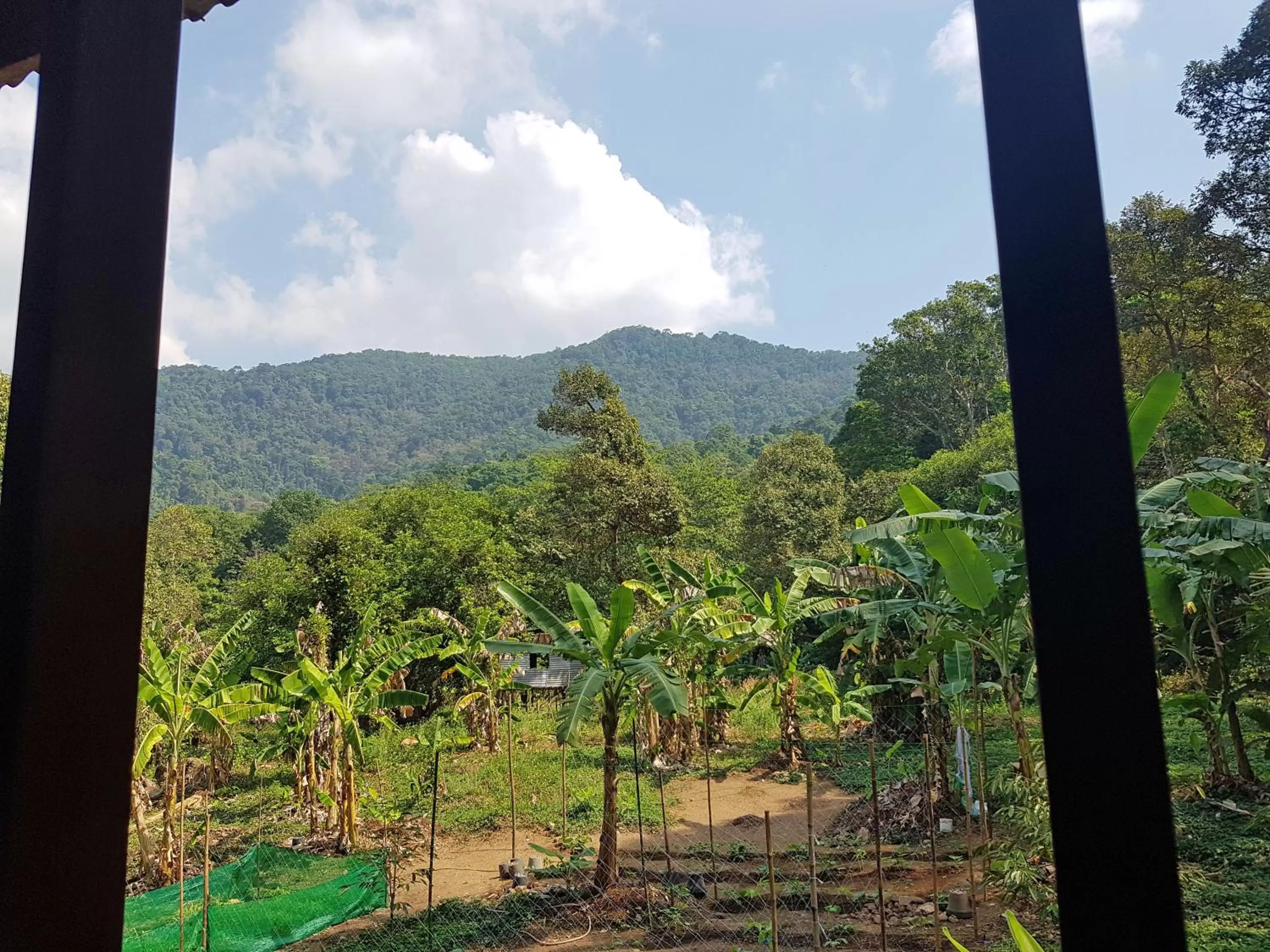 Natural landscape in Rock Inn Bailan