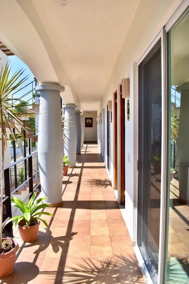 Patio, Balcony/Terrace in Carri Surf Studio