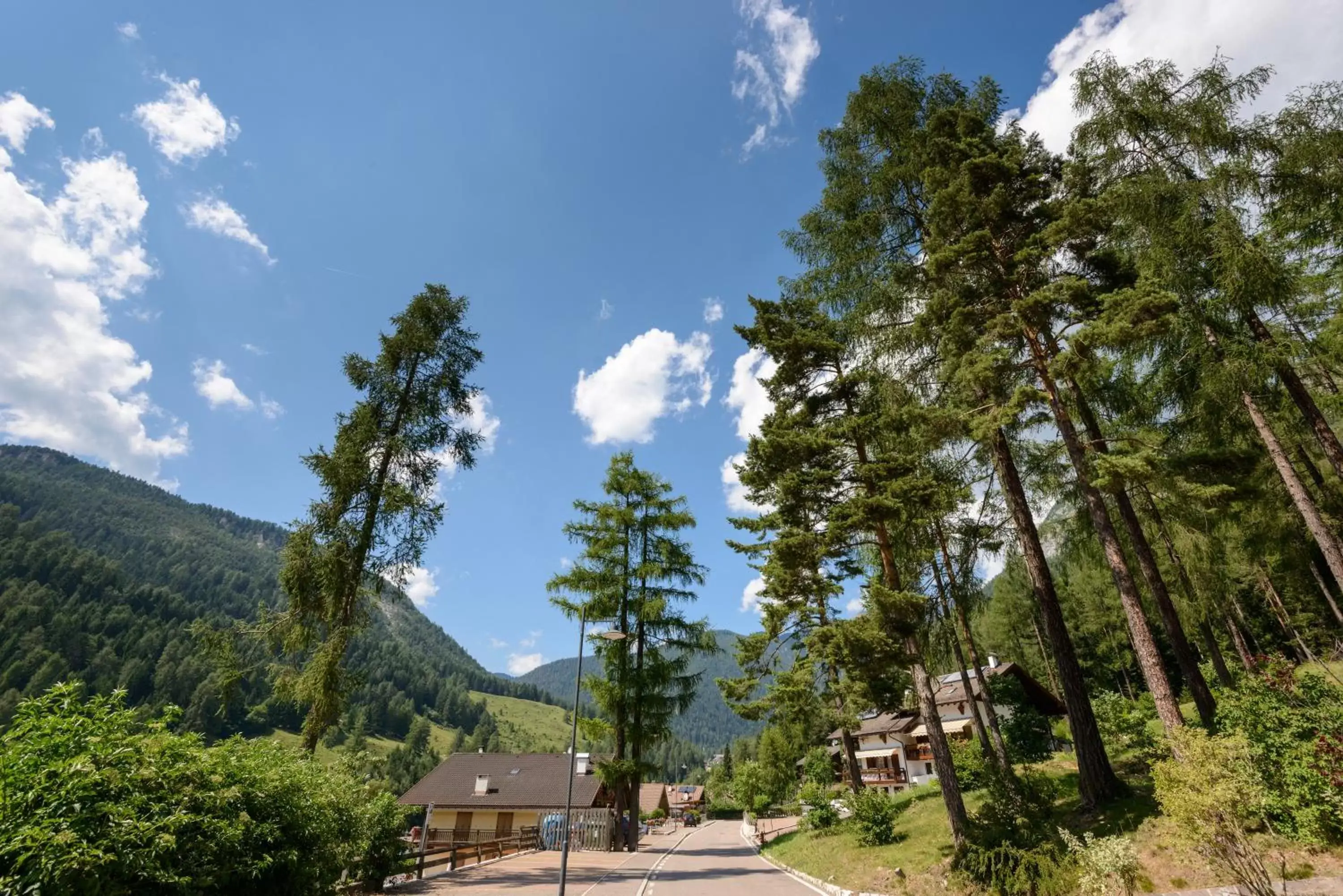 Mountain view in FORESTO - holiday apartments