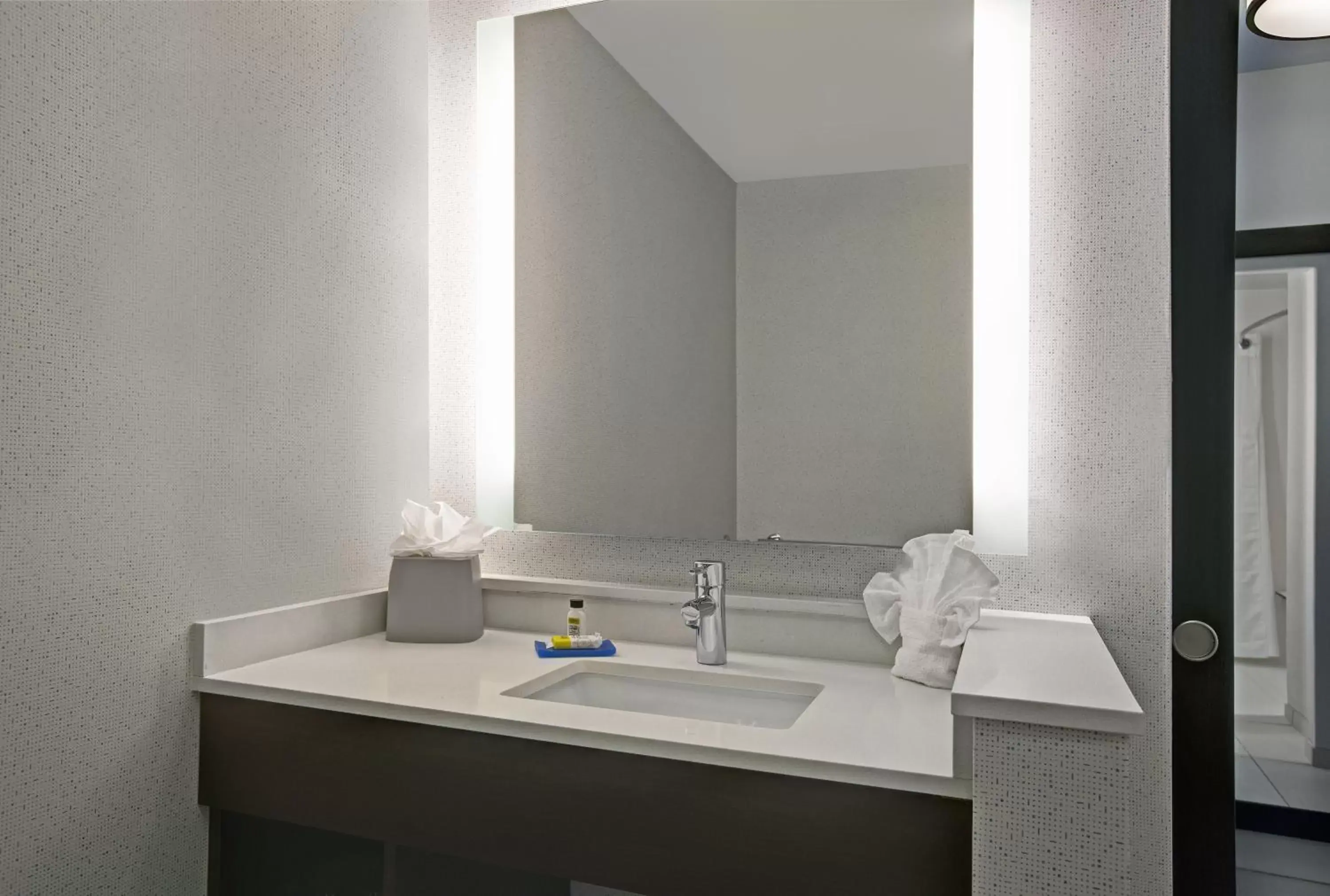 Bathroom in Holiday Inn Express & Suites - Milwaukee - Brookfield, an IHG Hotel