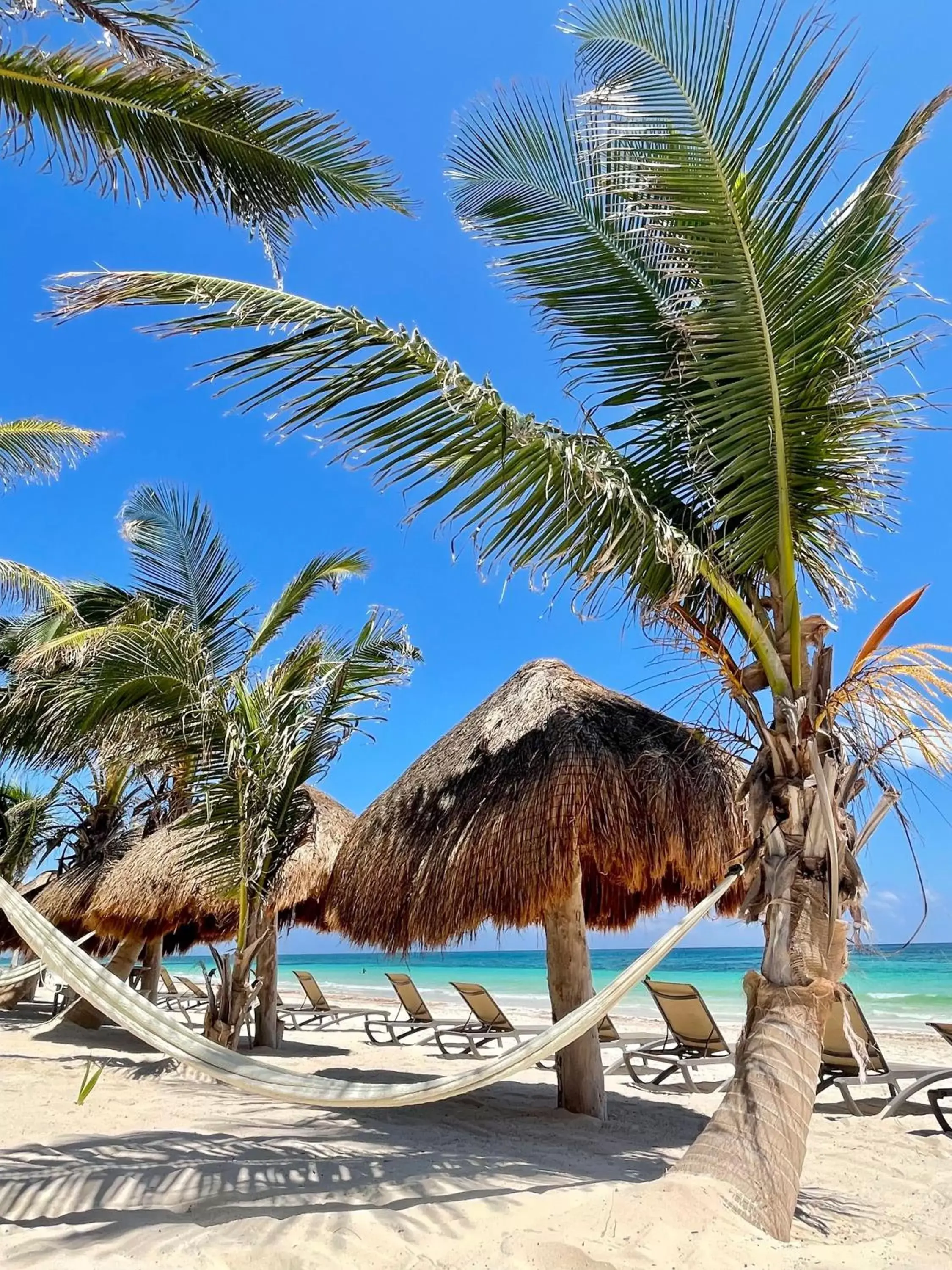 Beach in Sueños Tulum