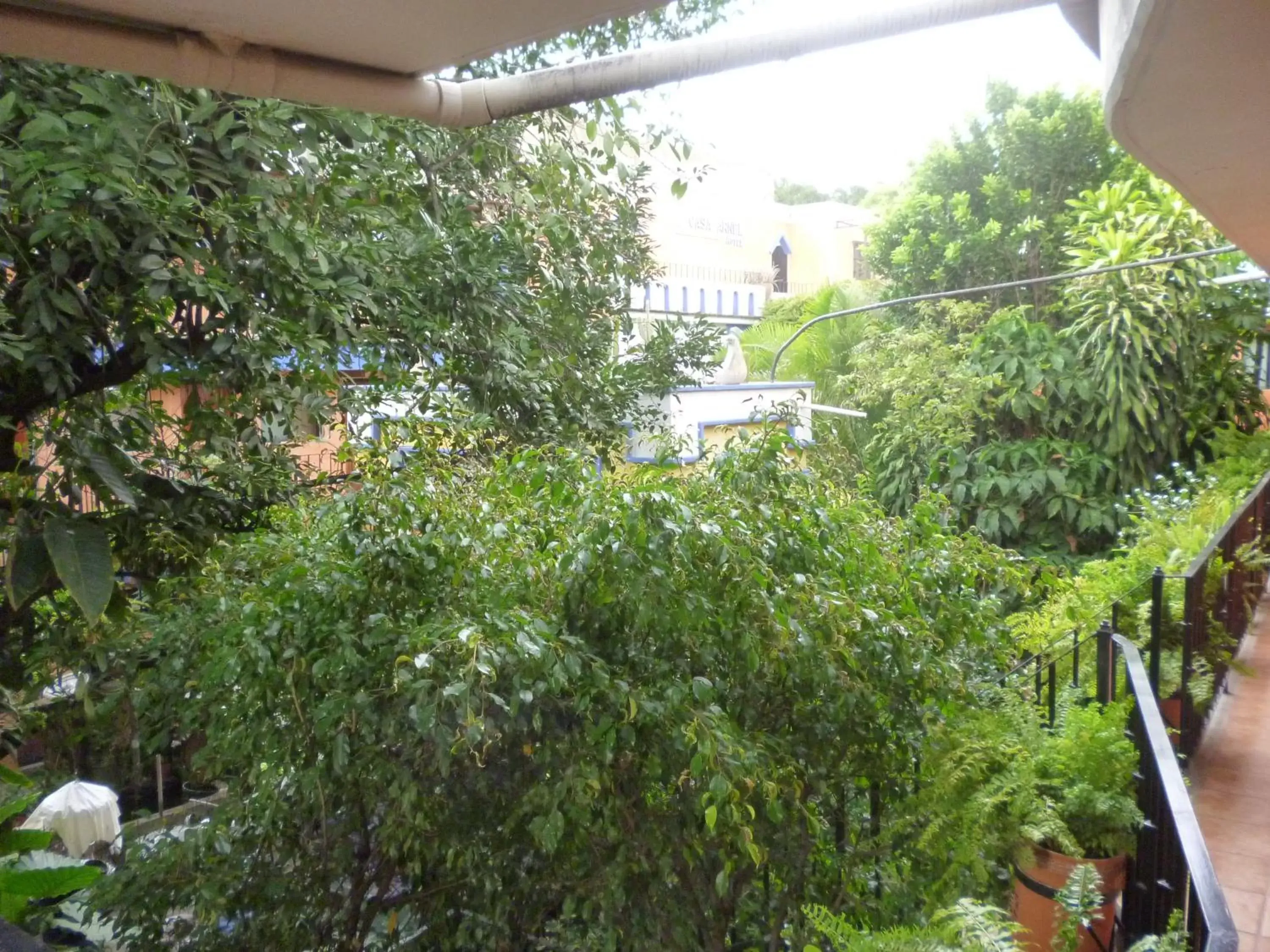 Bird's eye view, Garden in Hotel Casa Arnel