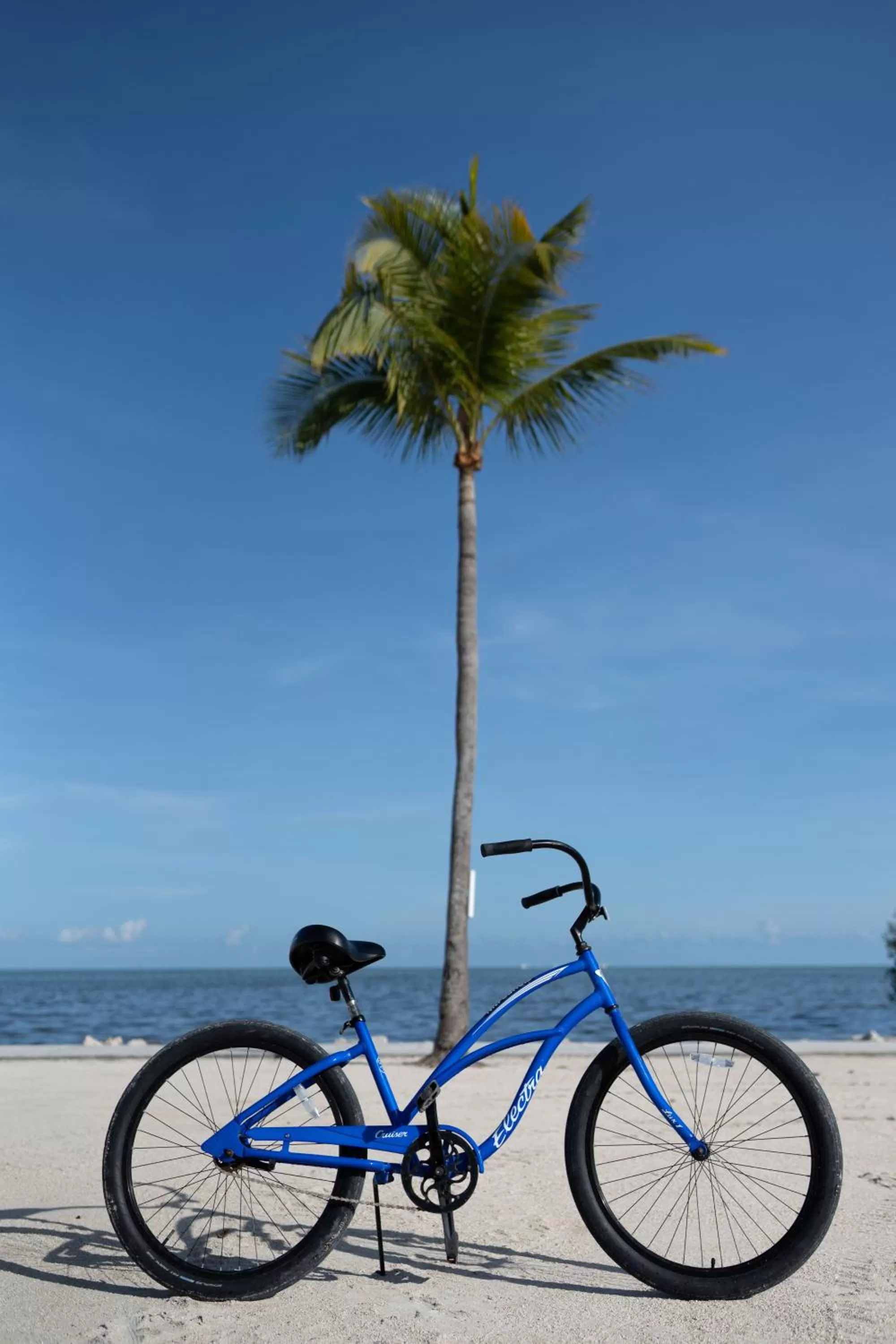 Activities in Fisher Inn Resort & Marina