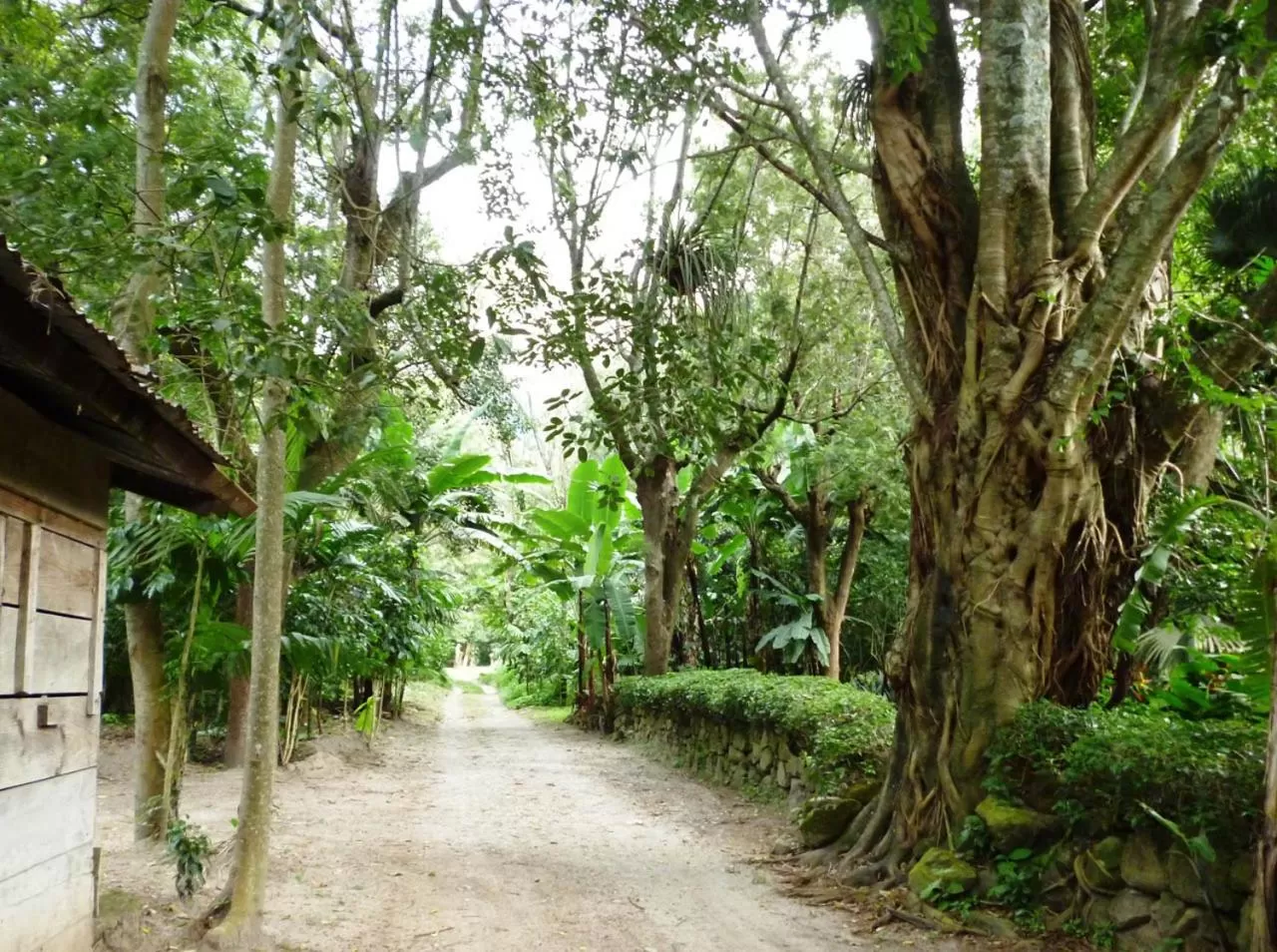 Garden in Hotel San Buenaventura de Atitlán