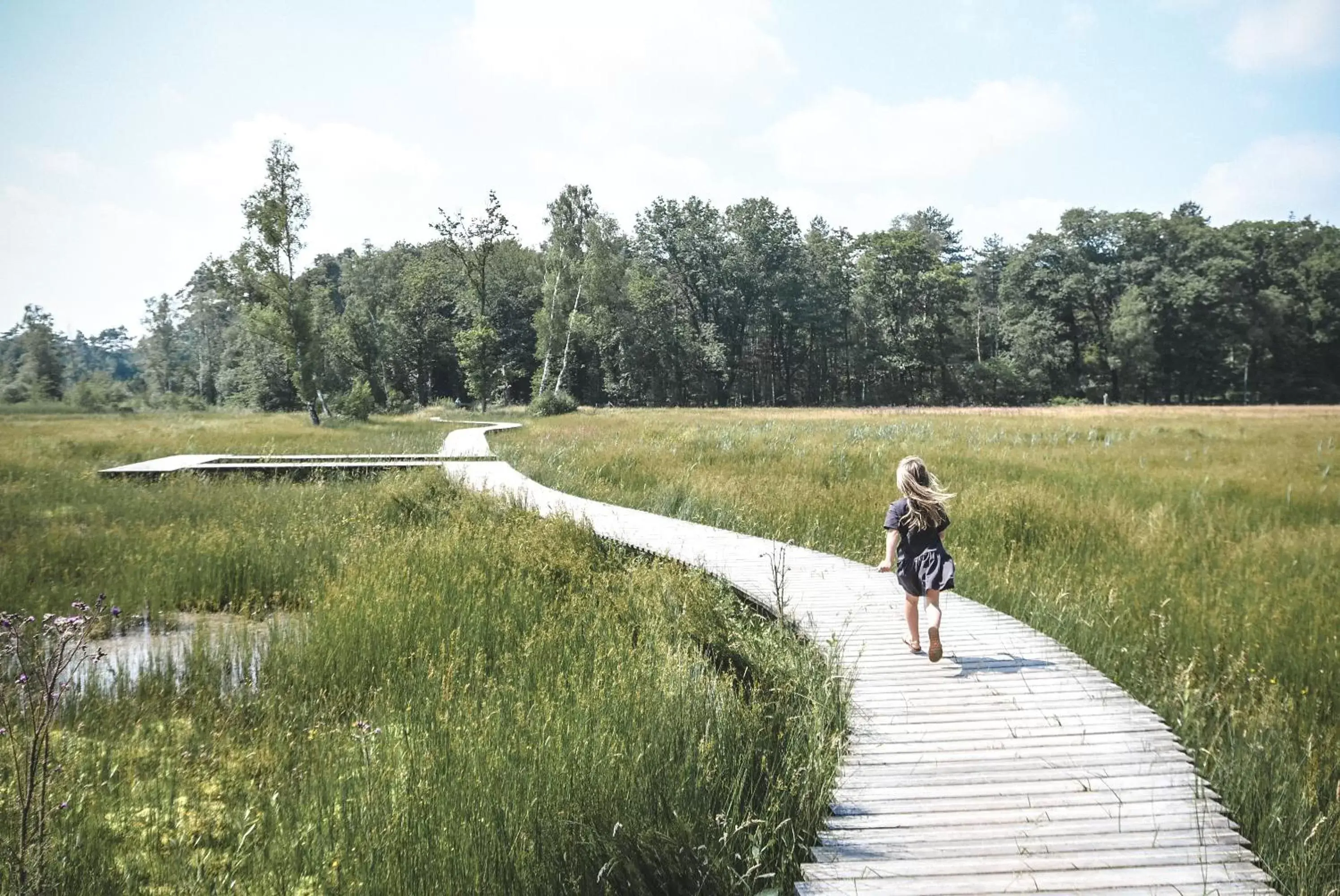 Natural landscape, Biking in Witte Berken Natuurhotel