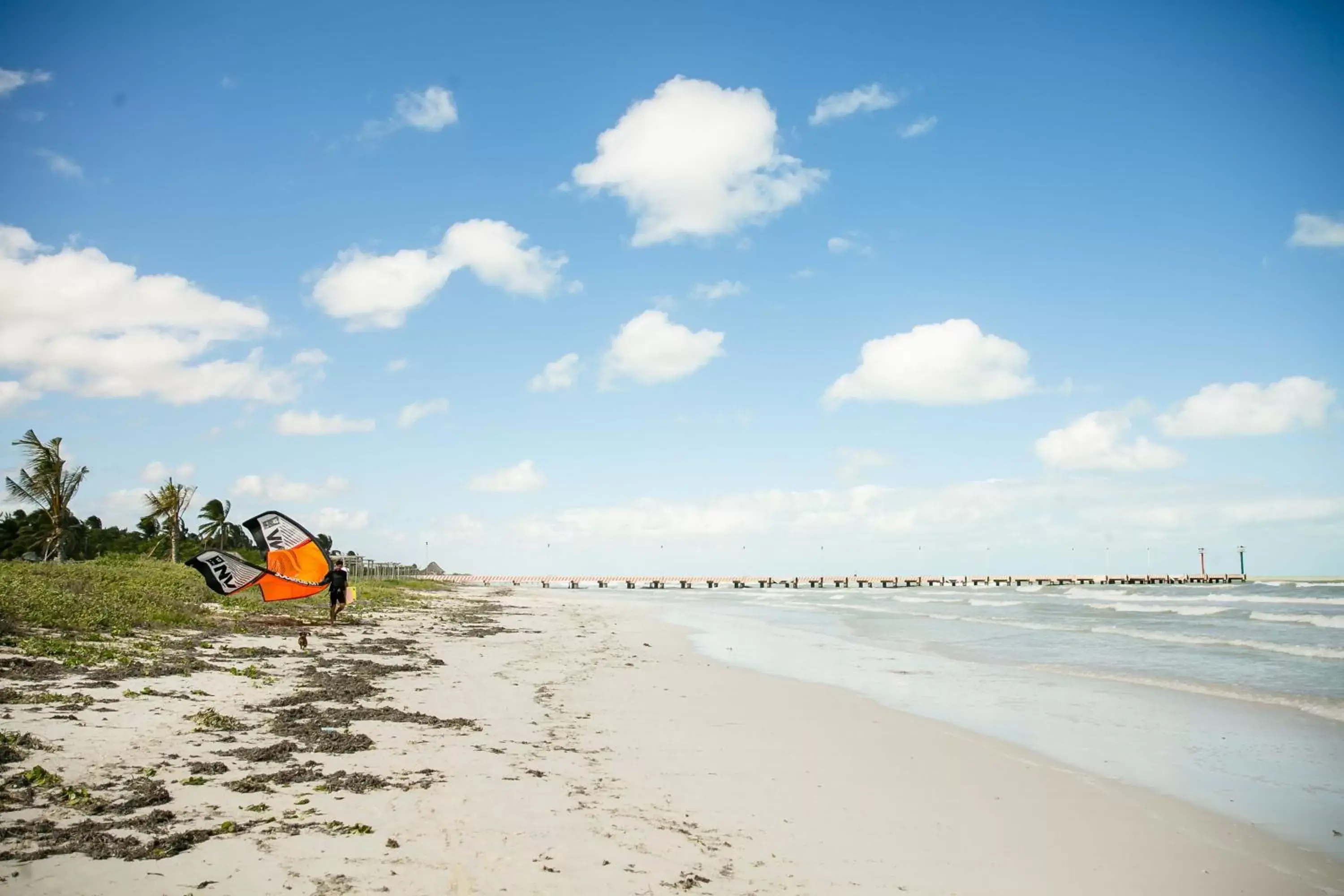 Activities, Beach in Hotel La Casa Cielo