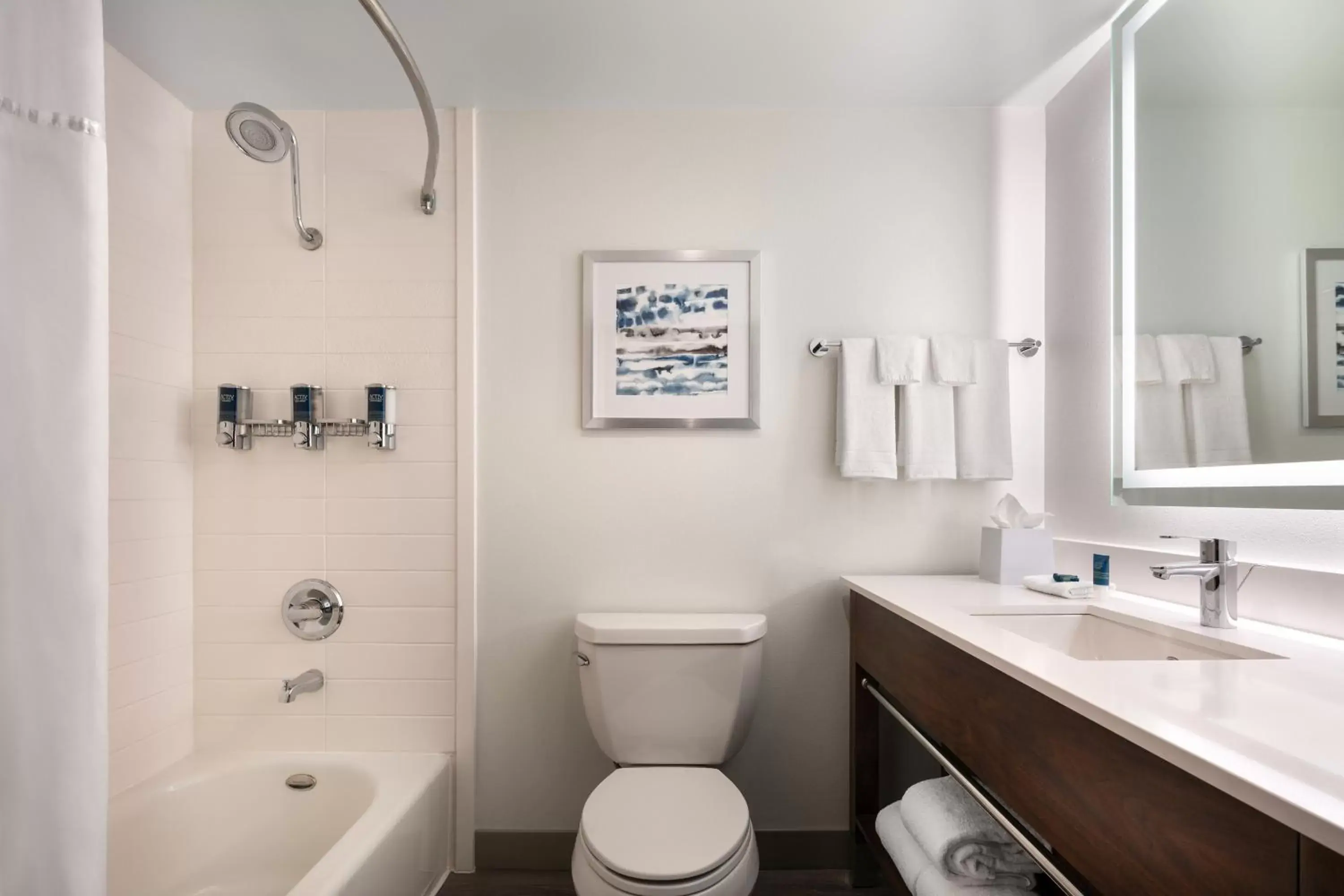 Bathroom in Four Points by Sheraton - San Francisco Airport