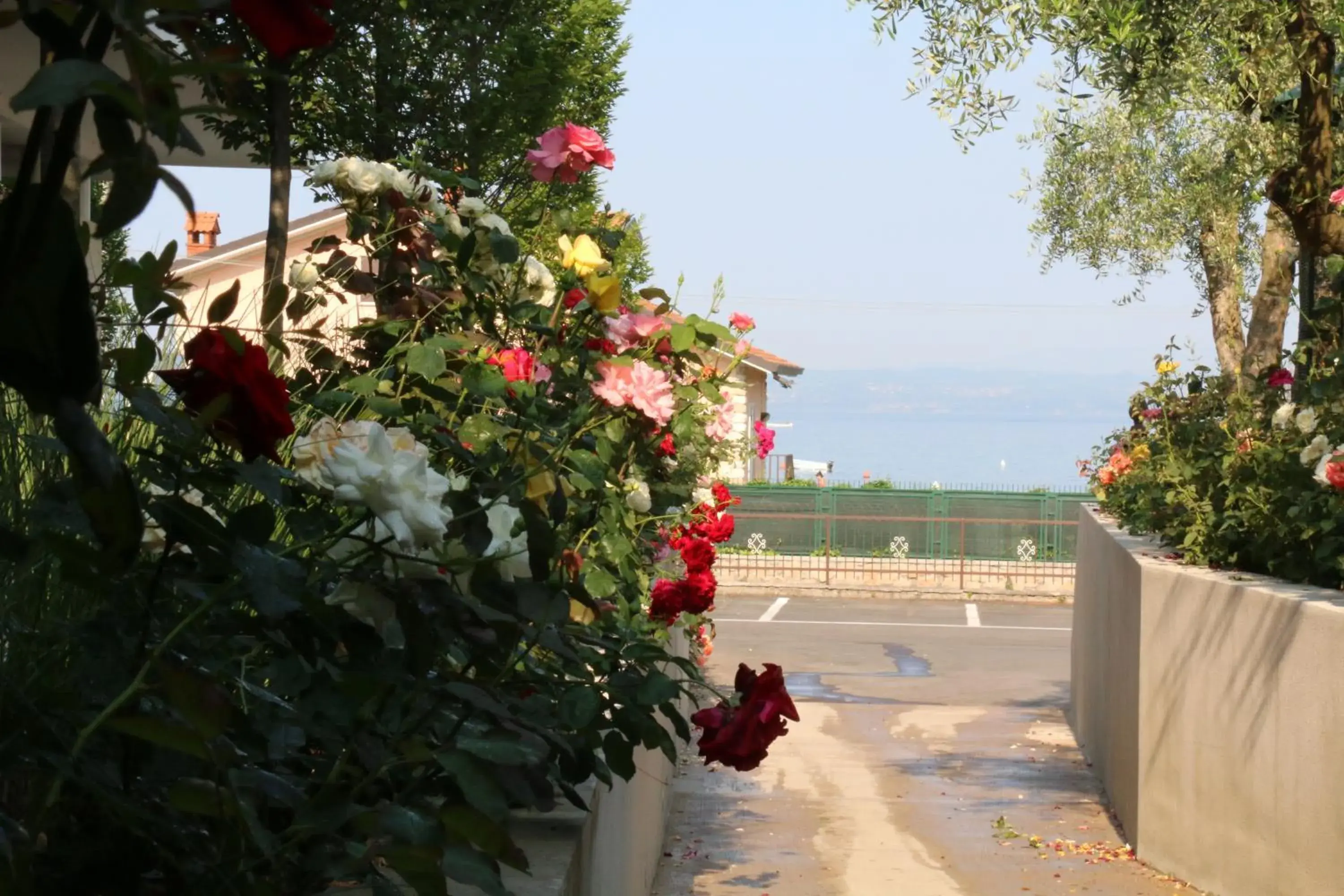 Garden in Hotel Maximilian