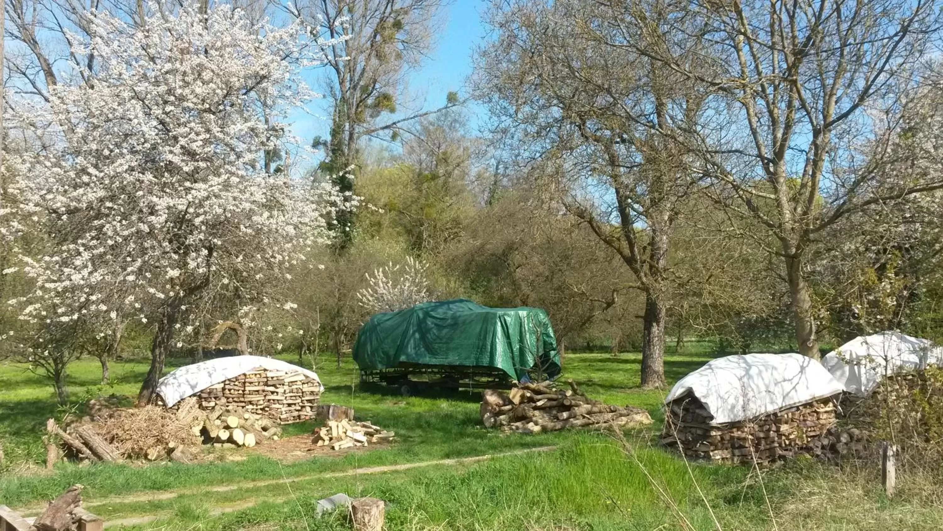 View (from property/room) in Hotel Bliesbrück