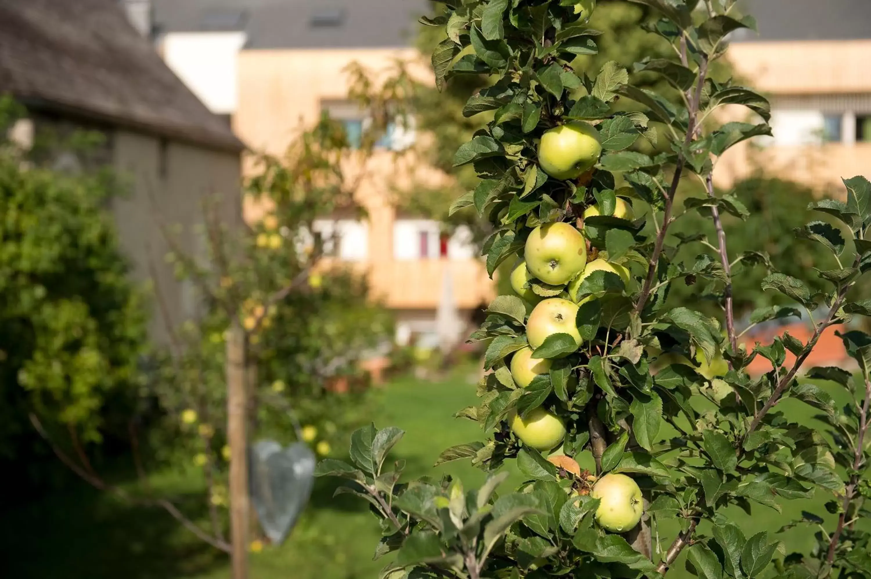 Garden in Gourmet - Boutique Hotel Tanzer