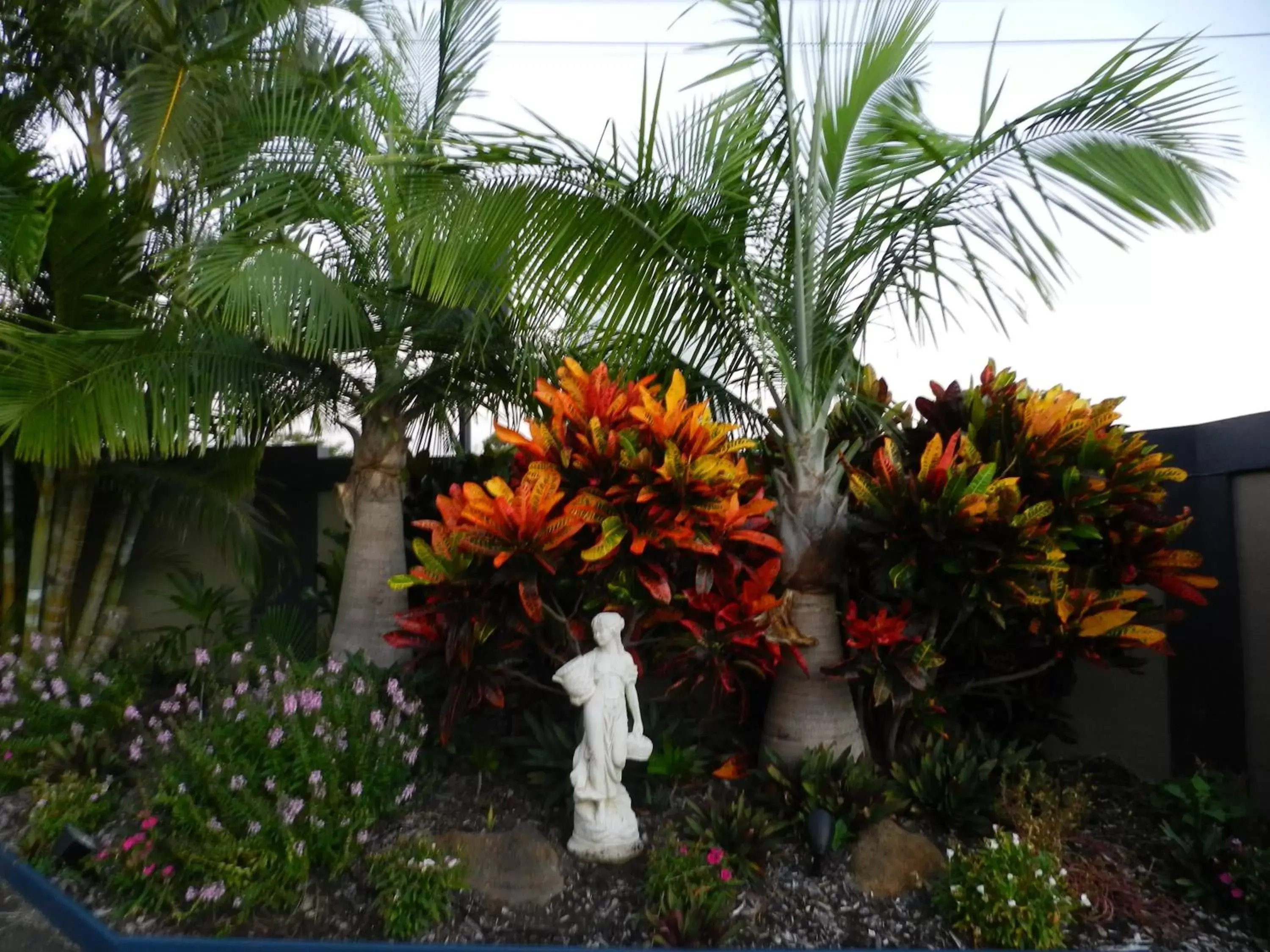 Garden in Golden Palms Motor Inn