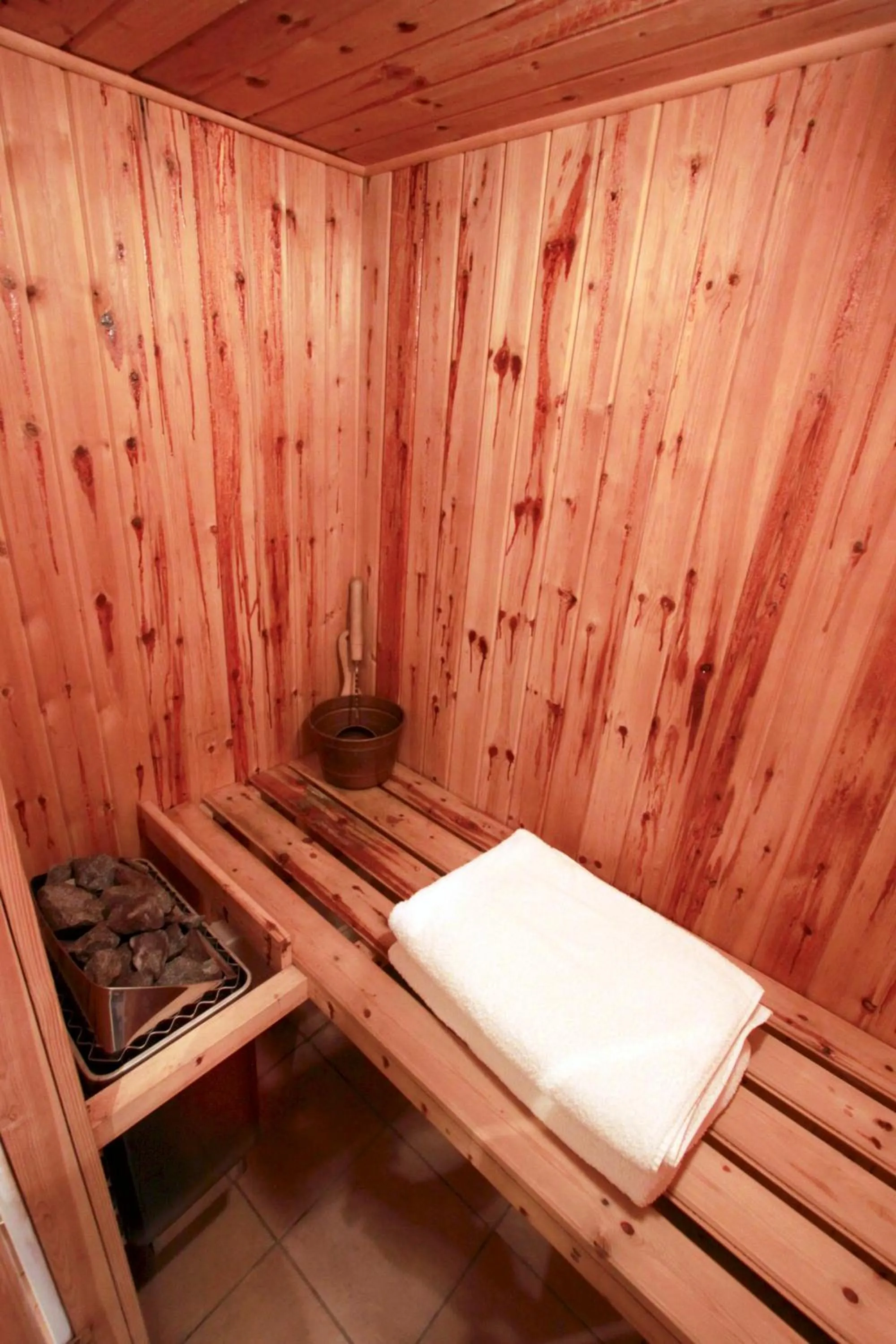 Sauna in Centre Of Britain Hotel