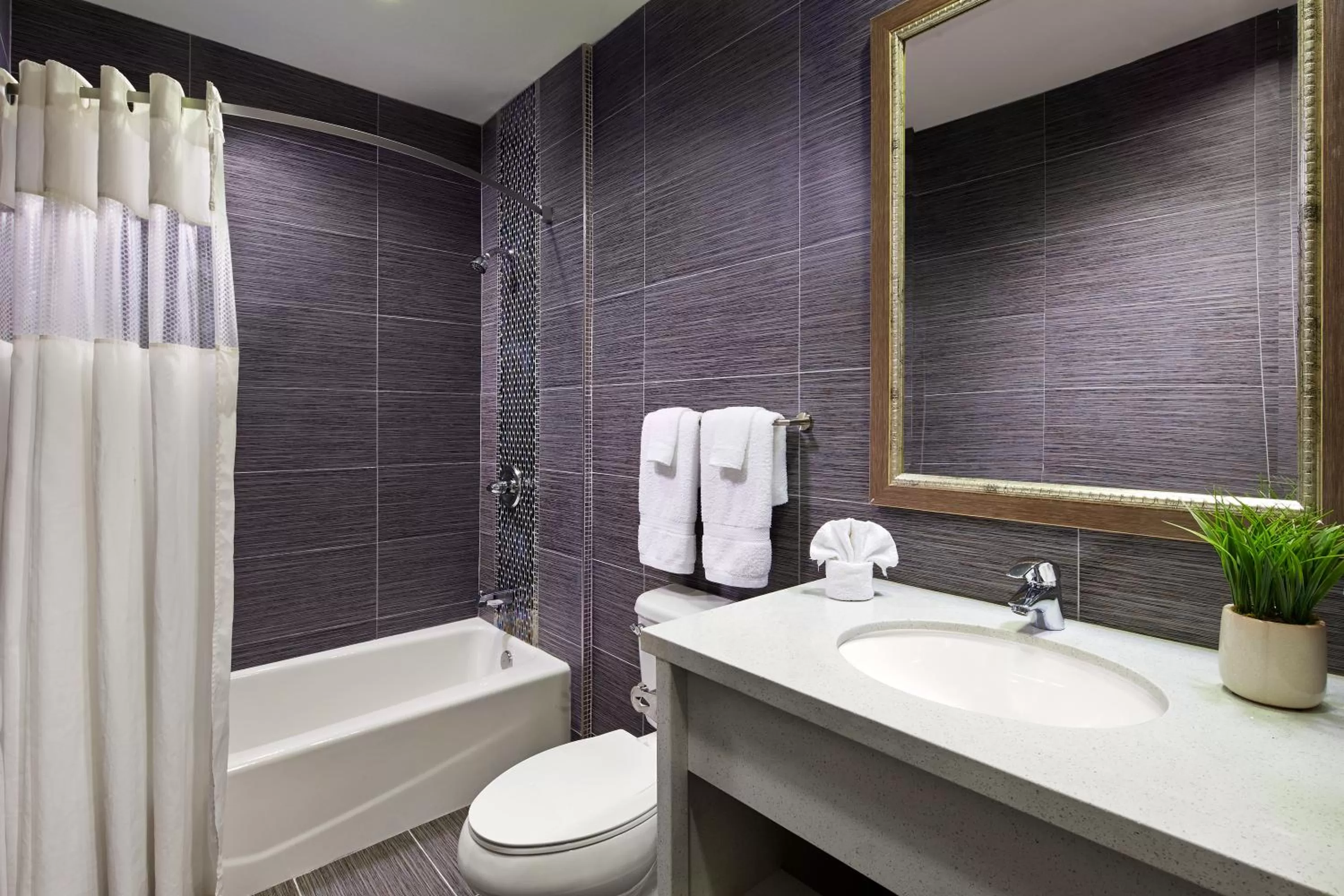 Bathroom in American Inn Downey