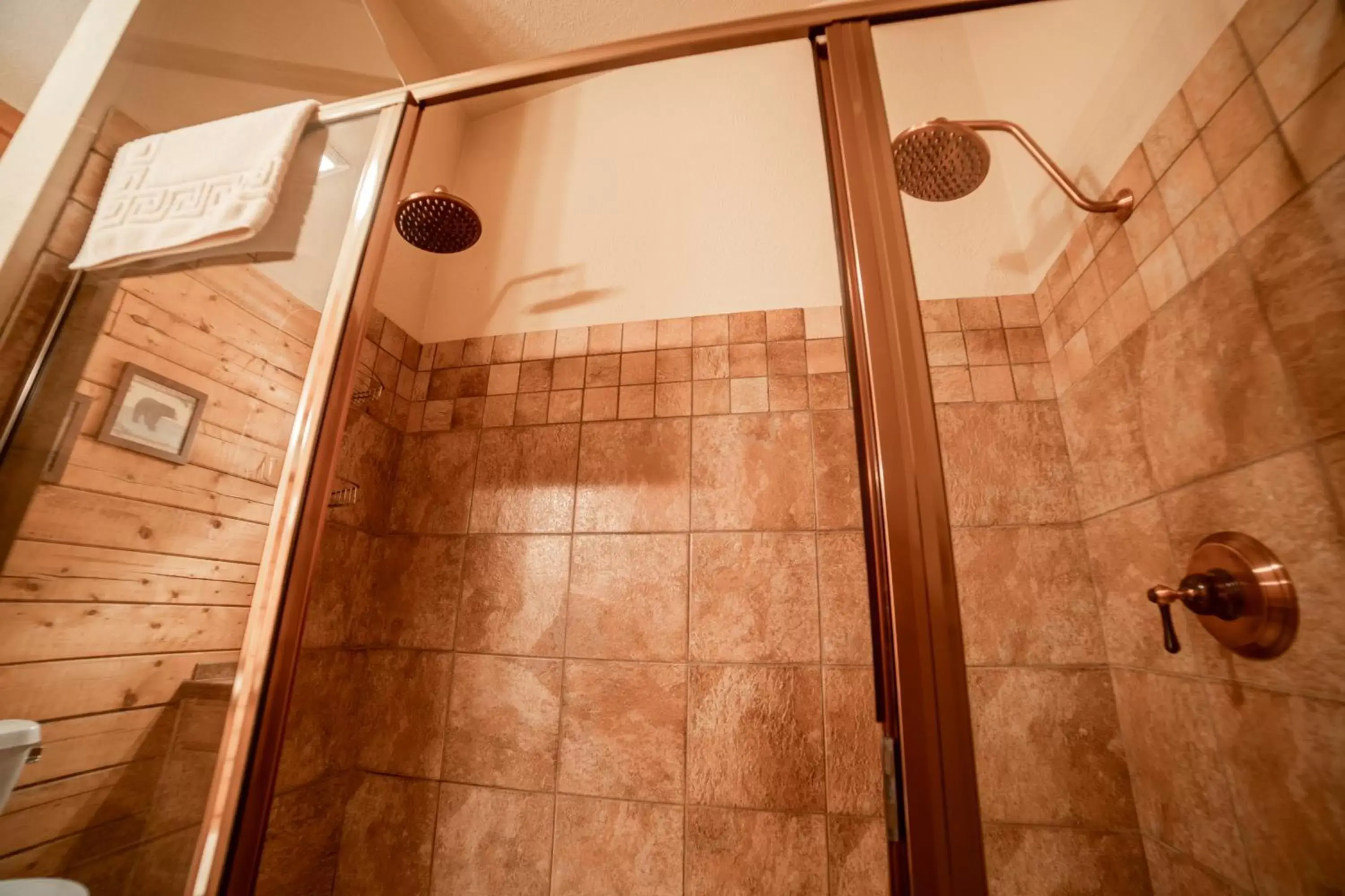 Shower, Bathroom in Cabins at Grand Mountain