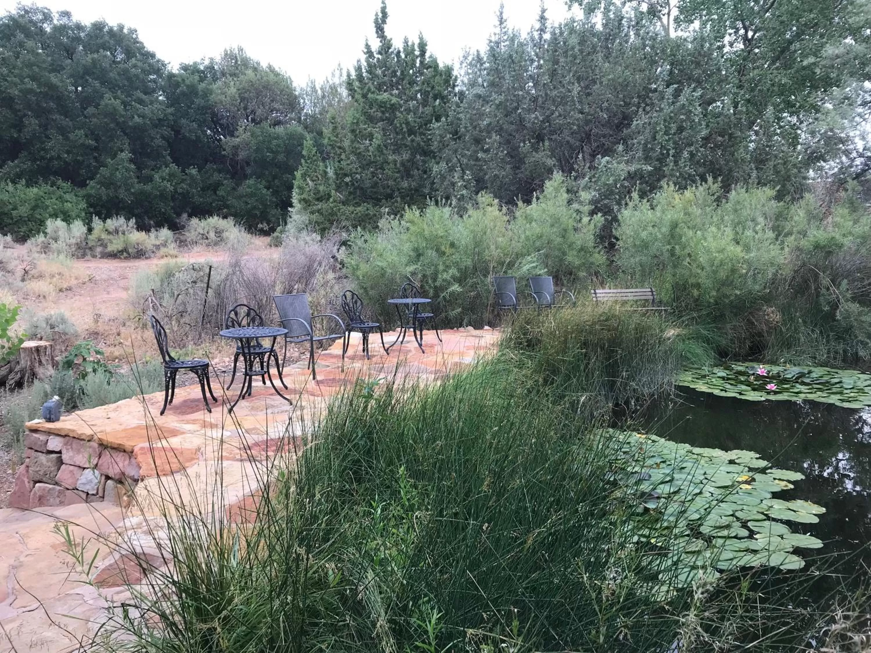 Garden in Red Moon Lodge