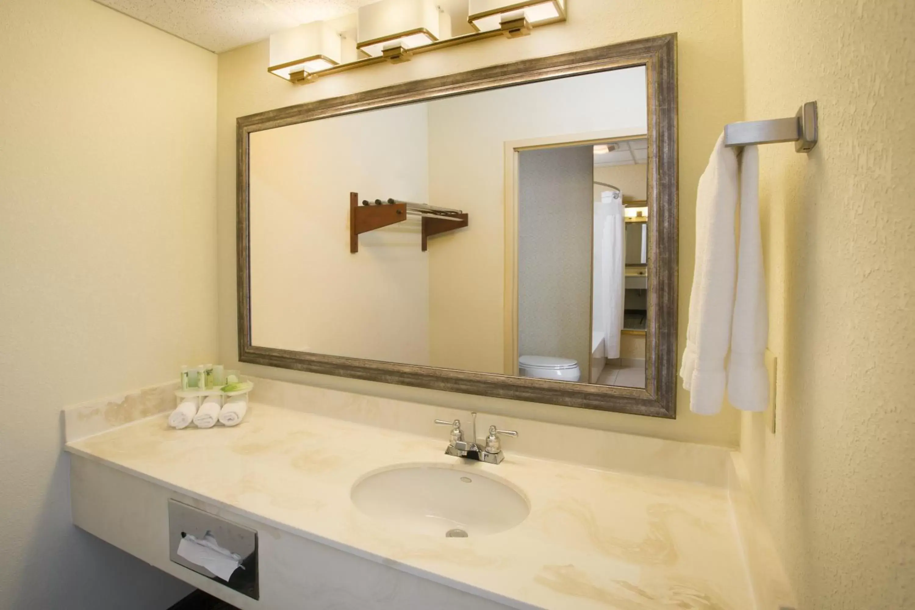 Bathroom in Holiday Inn Express Hotel & Suites Columbus Airport, an IHG Hotel