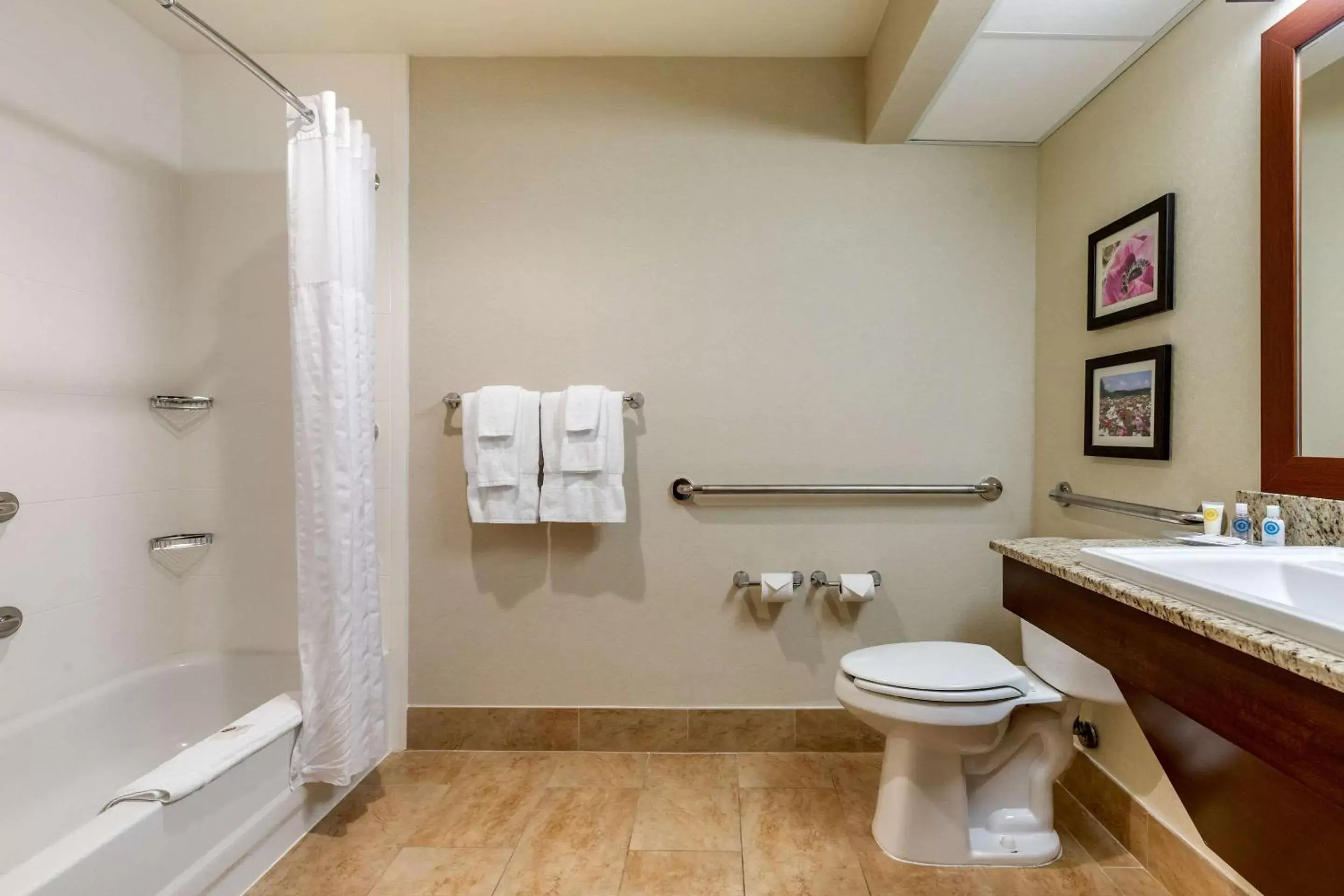 Bathroom in Comfort Suites Gastonia - Charlotte
