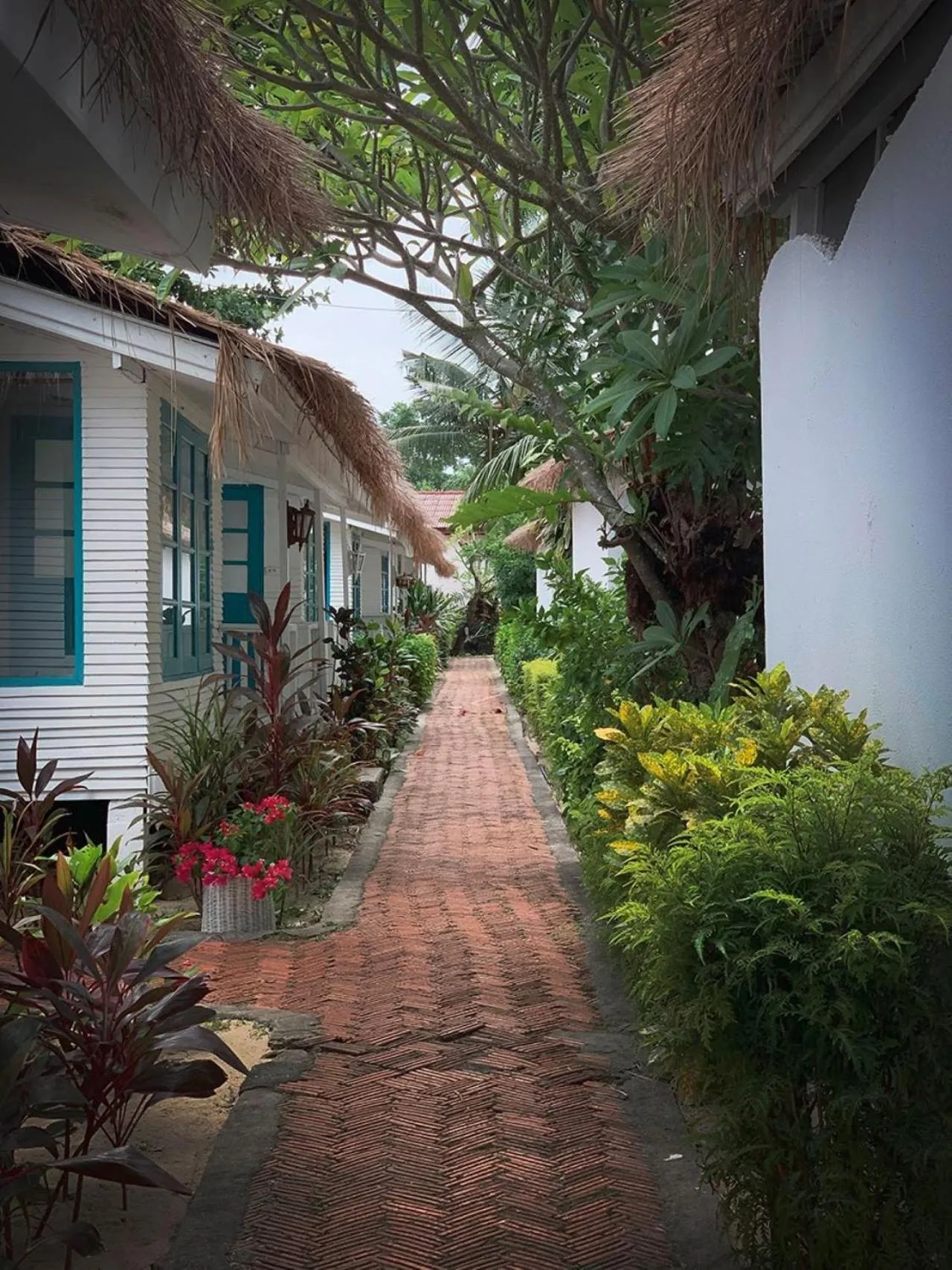 View (from property/room) in Sand Sea Beach Resort