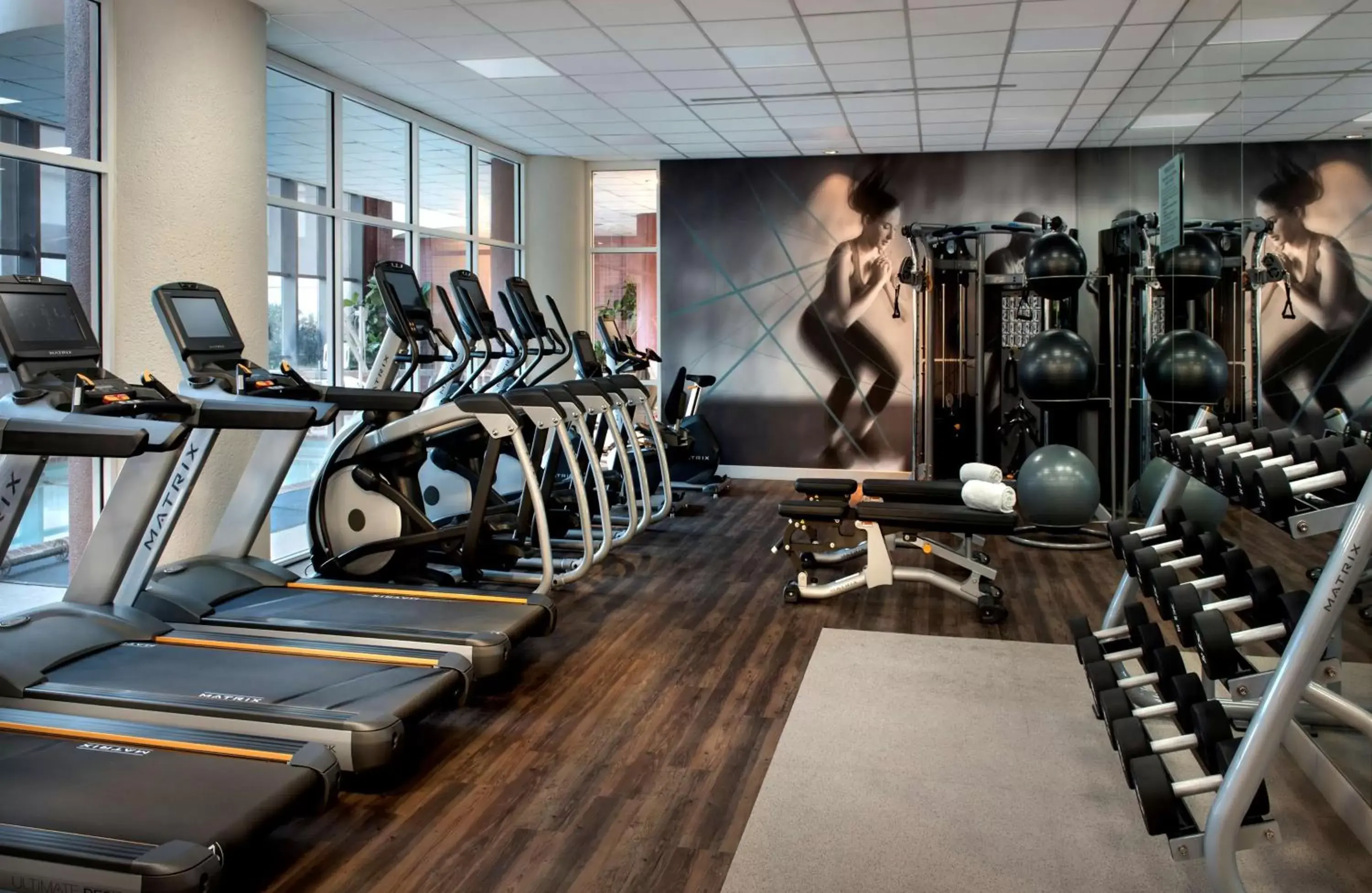 Fitness centre/facilities, Fitness Center/Facilities in Embassy Suites by Hilton Bethesda Washington DC