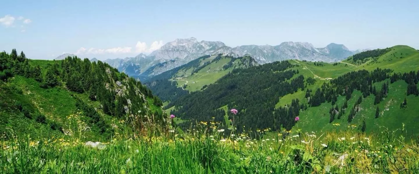 Nearby landmark in Boutique-Hôtel Chez Jan