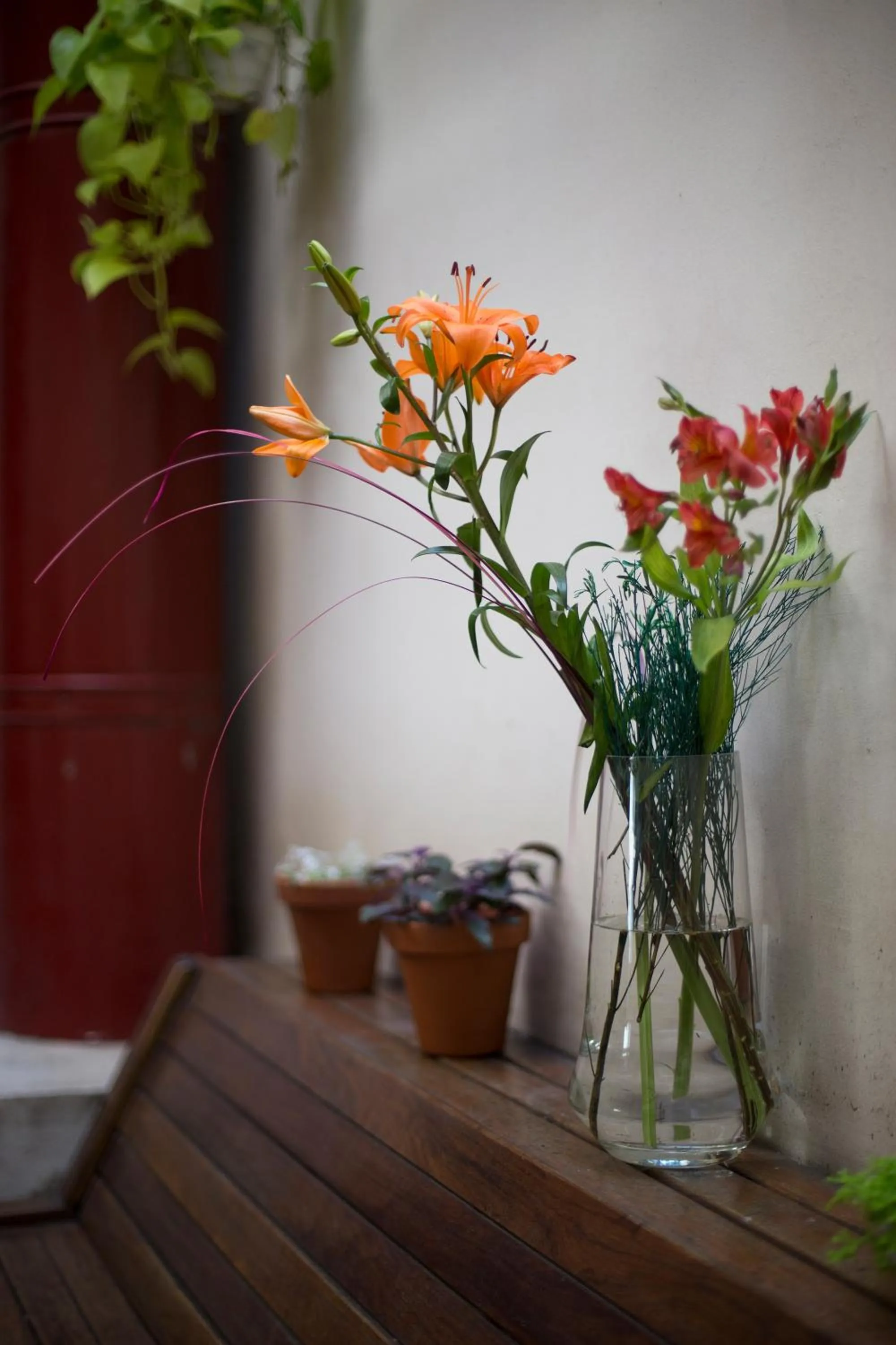 Patio in Hotel UTHGRA de las Luces