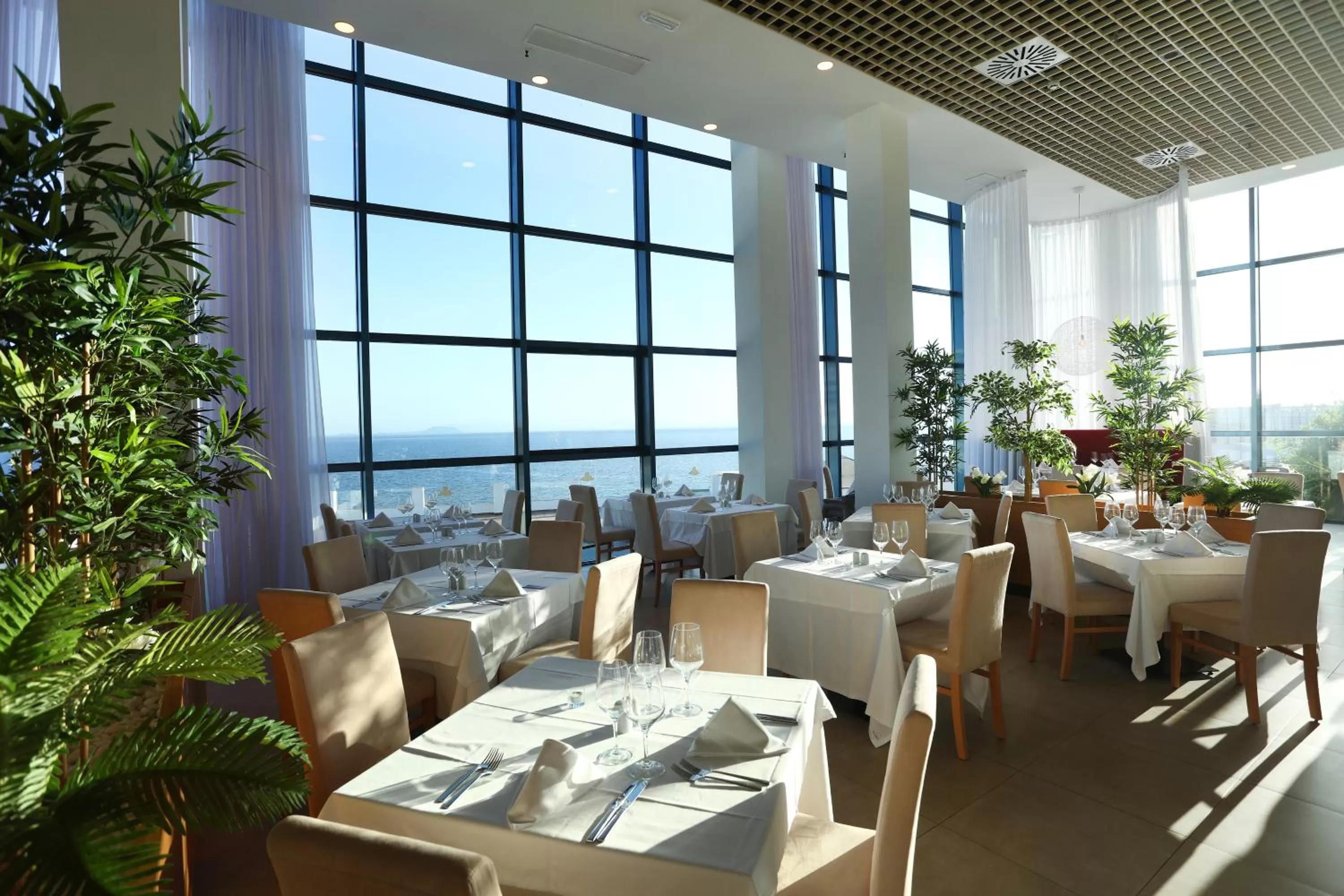 Lounge or bar in Sandos Papagayo