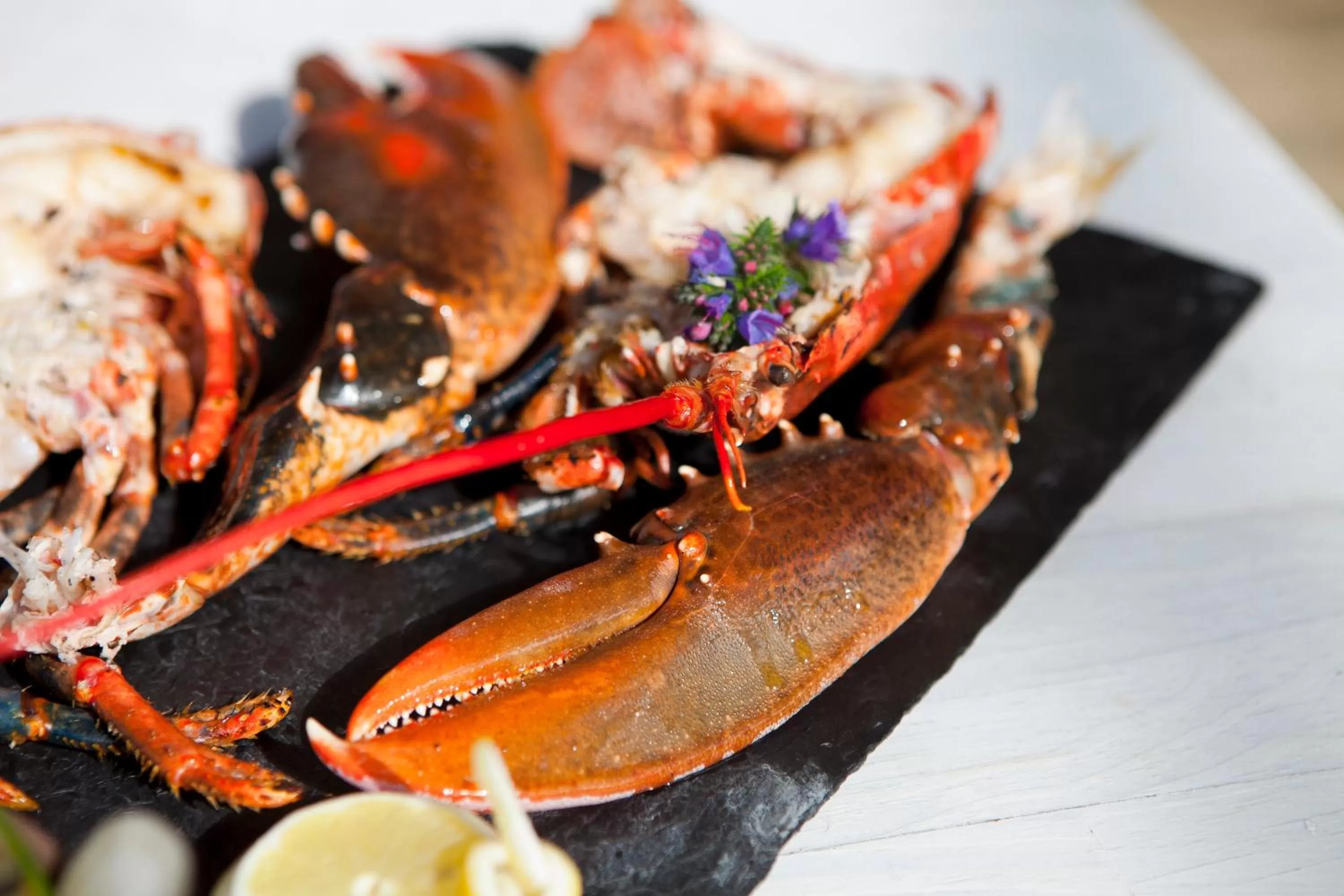 Restaurant/places to eat in Elégance Suites Hôtel