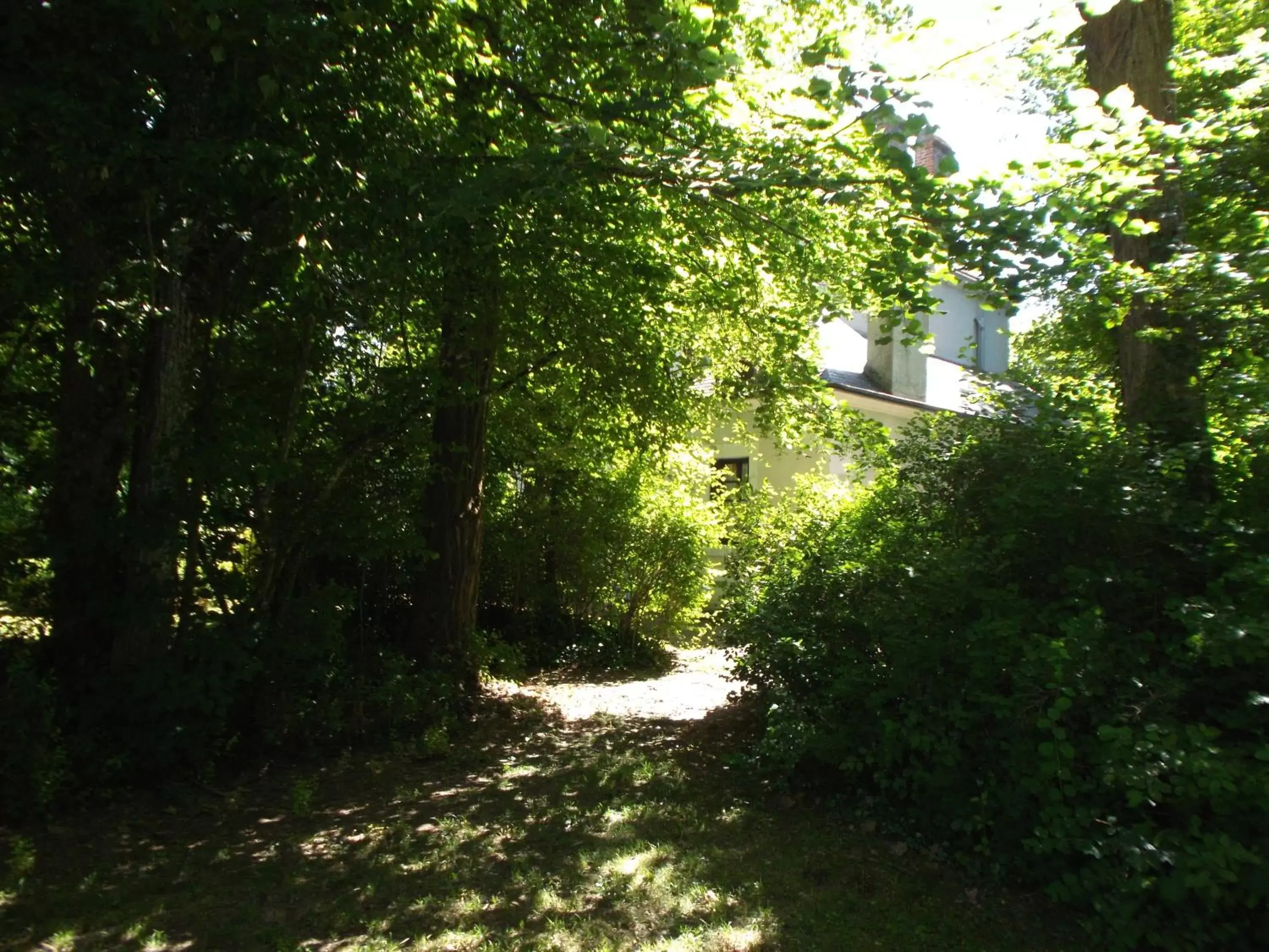 Natural landscape, Garden in VILLA ESPERANZA Suite de 2 à 4 personnes proche Zoo de Beauval et châteaux de La Loire