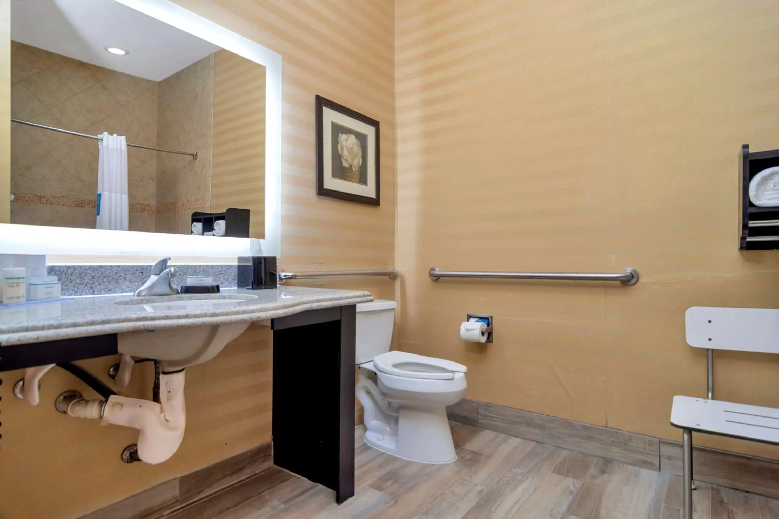 Bathroom in Hampton Inn & Suites Fort Worth-Fossil Creek