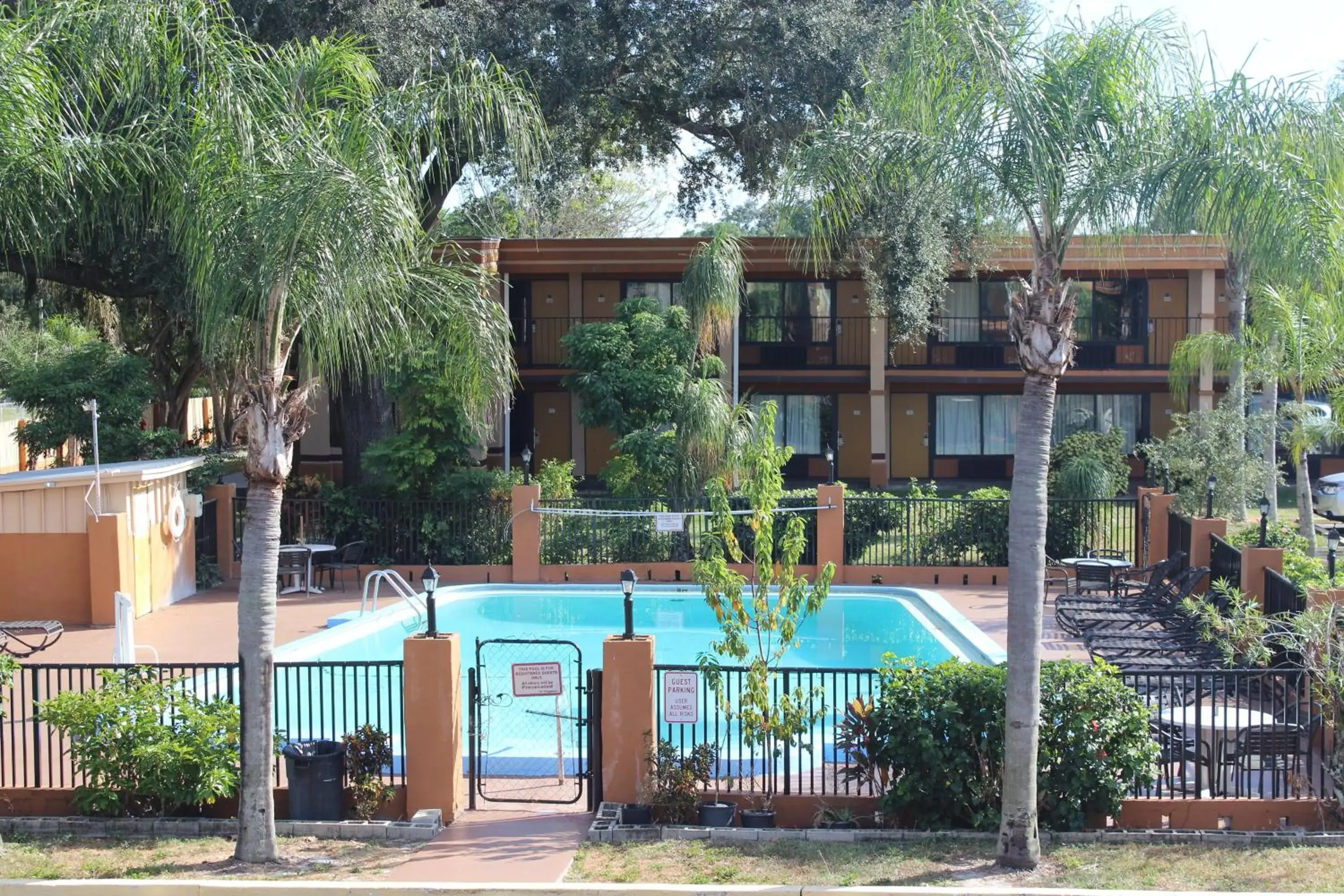 Swimming Pool in Tampa Inn Near Busch Gardens