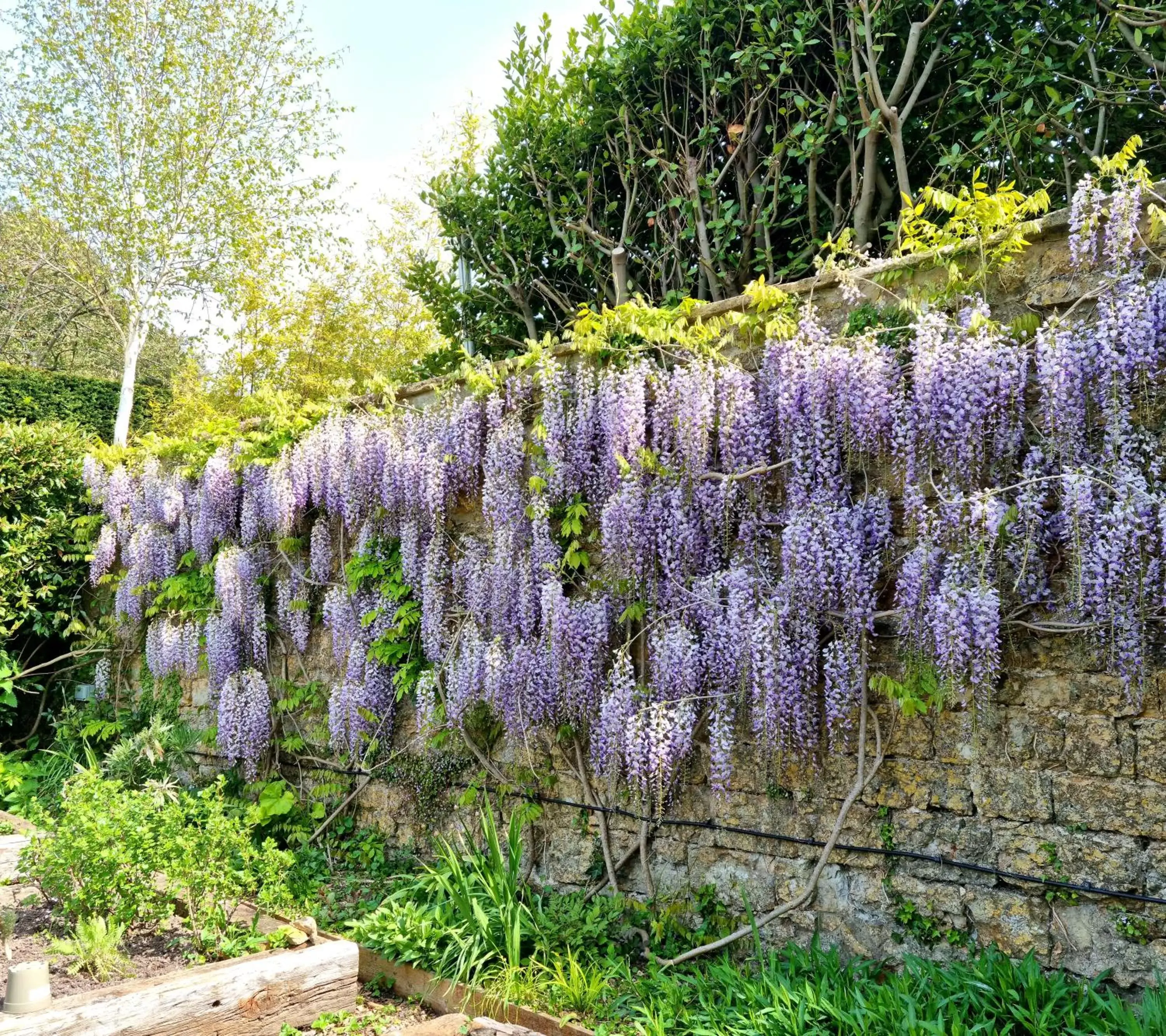 Garden, Natural Landscape in The Ollerod