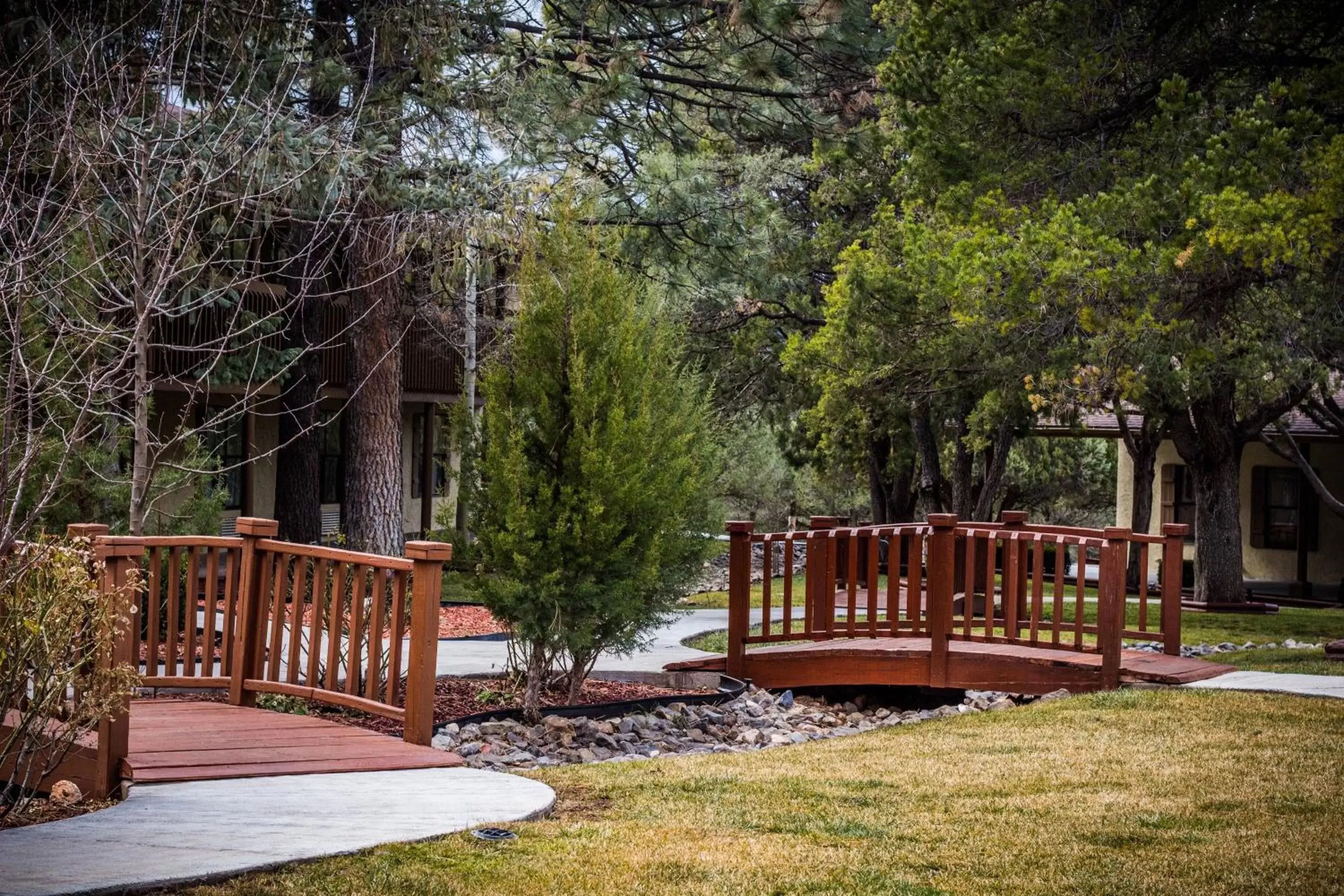 Garden in Best Western Pine Springs Inn