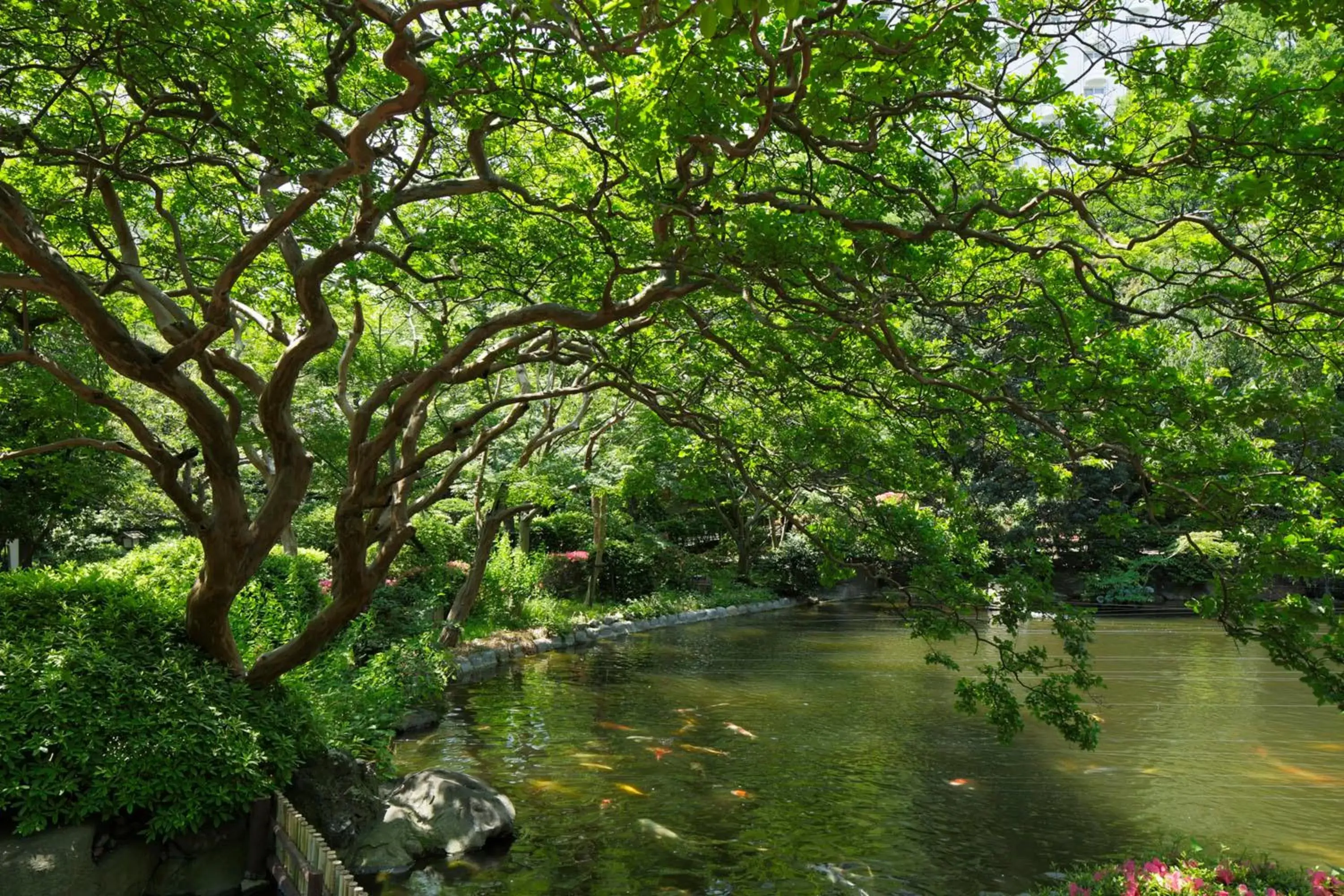 Garden, Natural Landscape in Grand Prince Hotel Takanawa