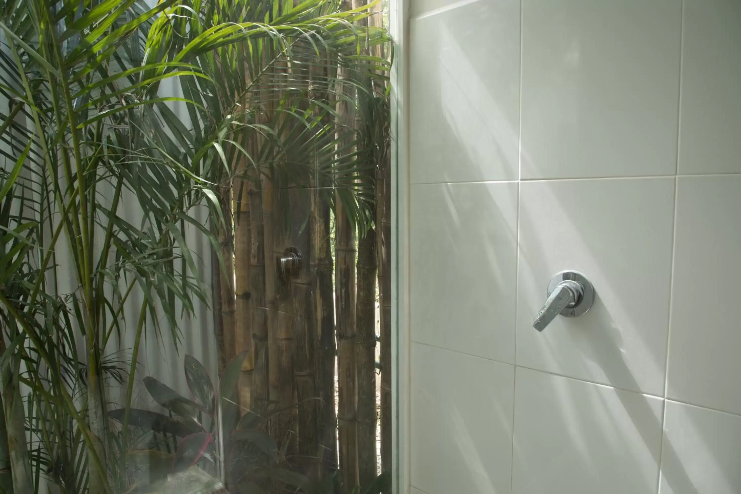 Shower, Bathroom in Zensus Eco Boutique Hotel
