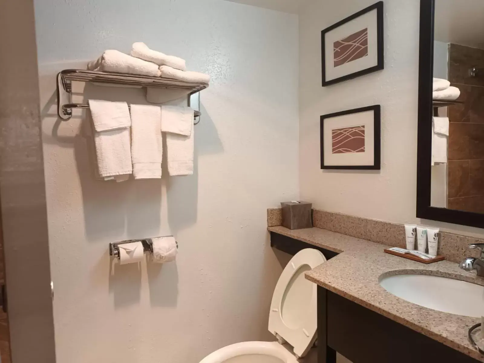 Bathroom in Country Inn & Suites by Radisson, Battle Creek, MI