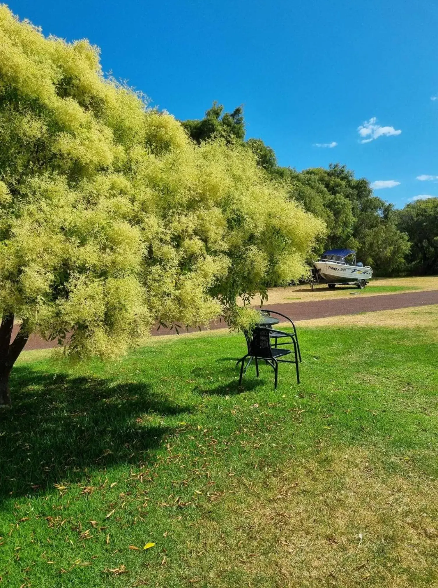 Garden in Emu Point Motel