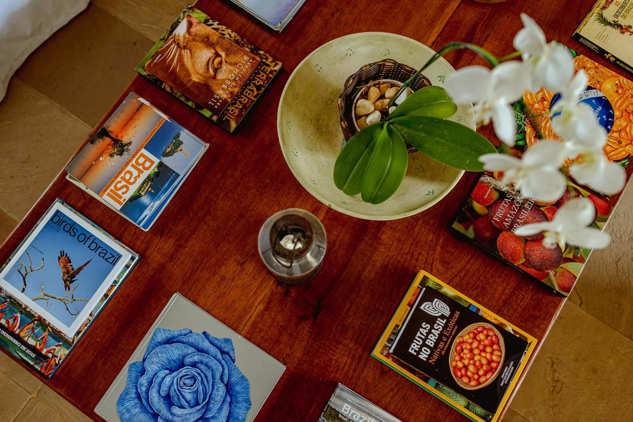 Property building in Pousada Blanca Mar