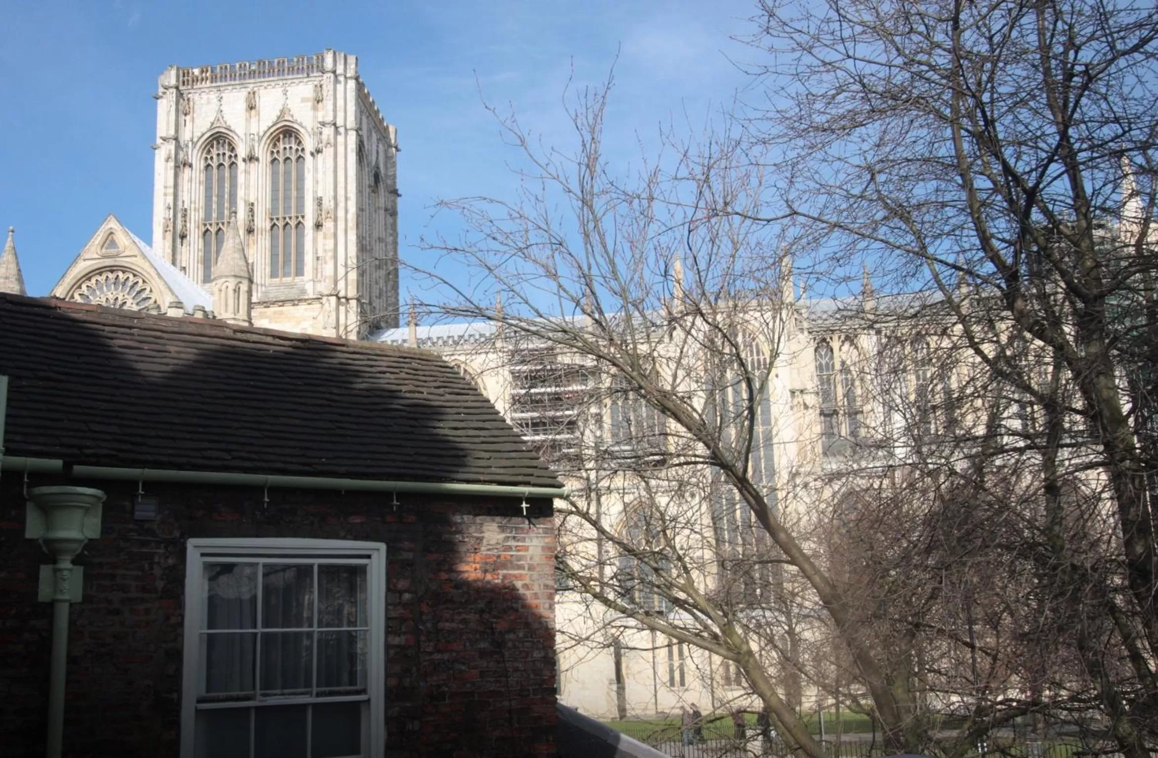 View (from property/room) in Galtres Lodge Hotel & Forest Restaurant