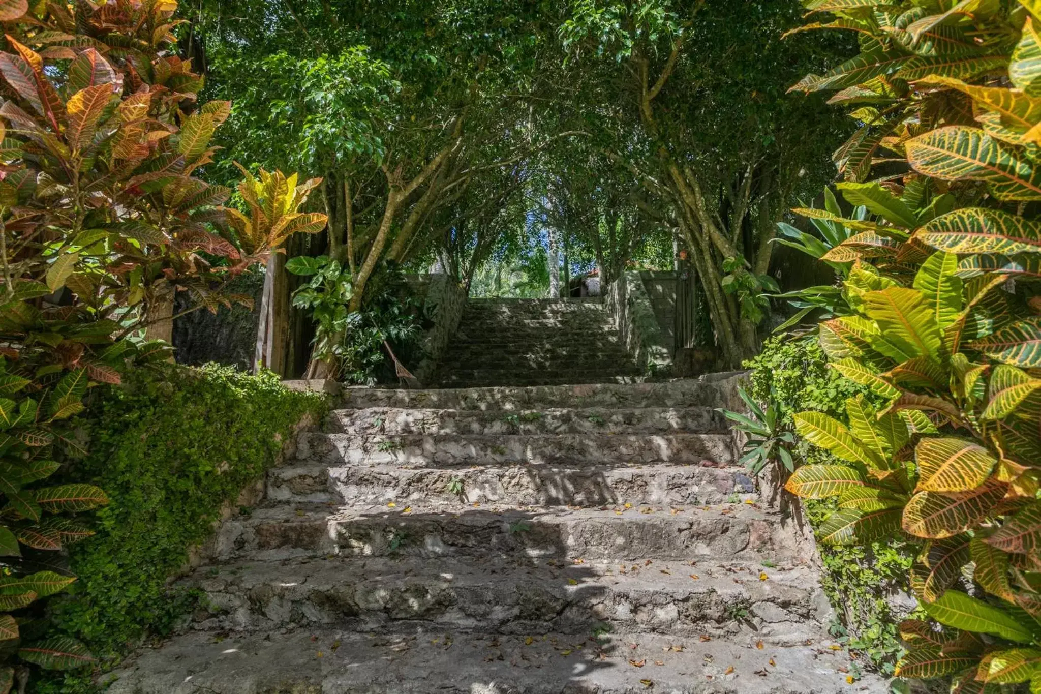 Garden in Villa Santuario Lake front Oasis