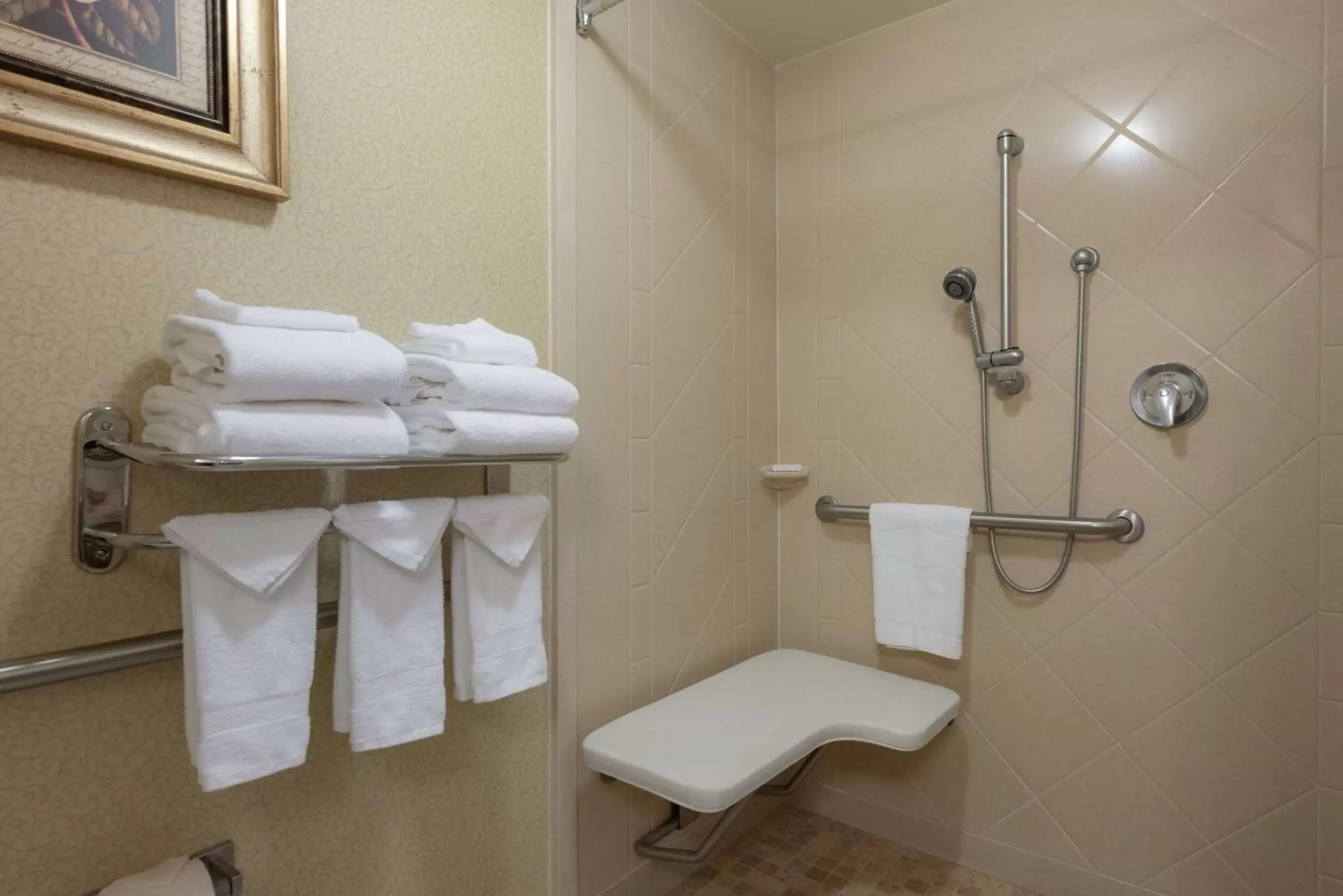 Bathroom in Hampton Inn & Suites - Vicksburg