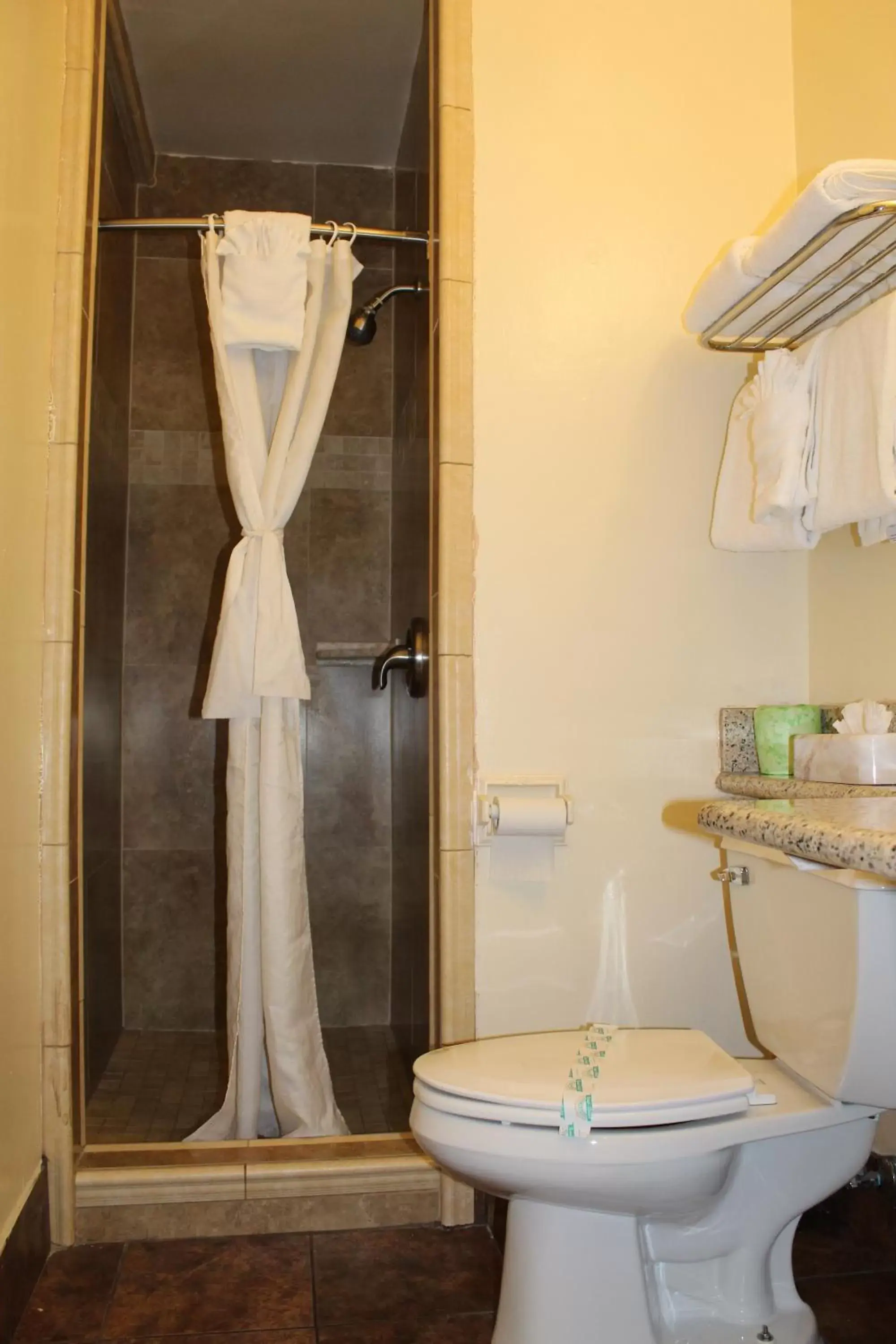Shower, Bathroom in Riverside Inn & Suites Santa Cruz