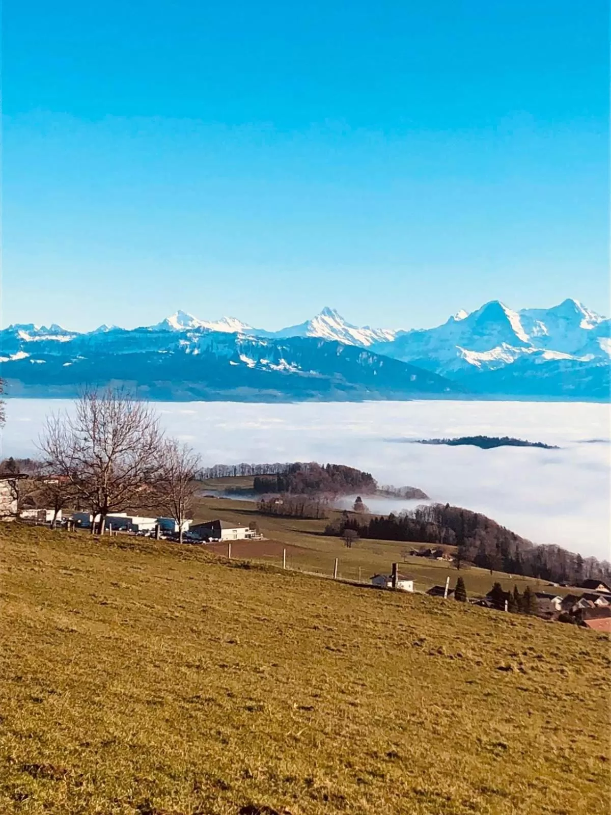 Natural landscape in B&B Bären