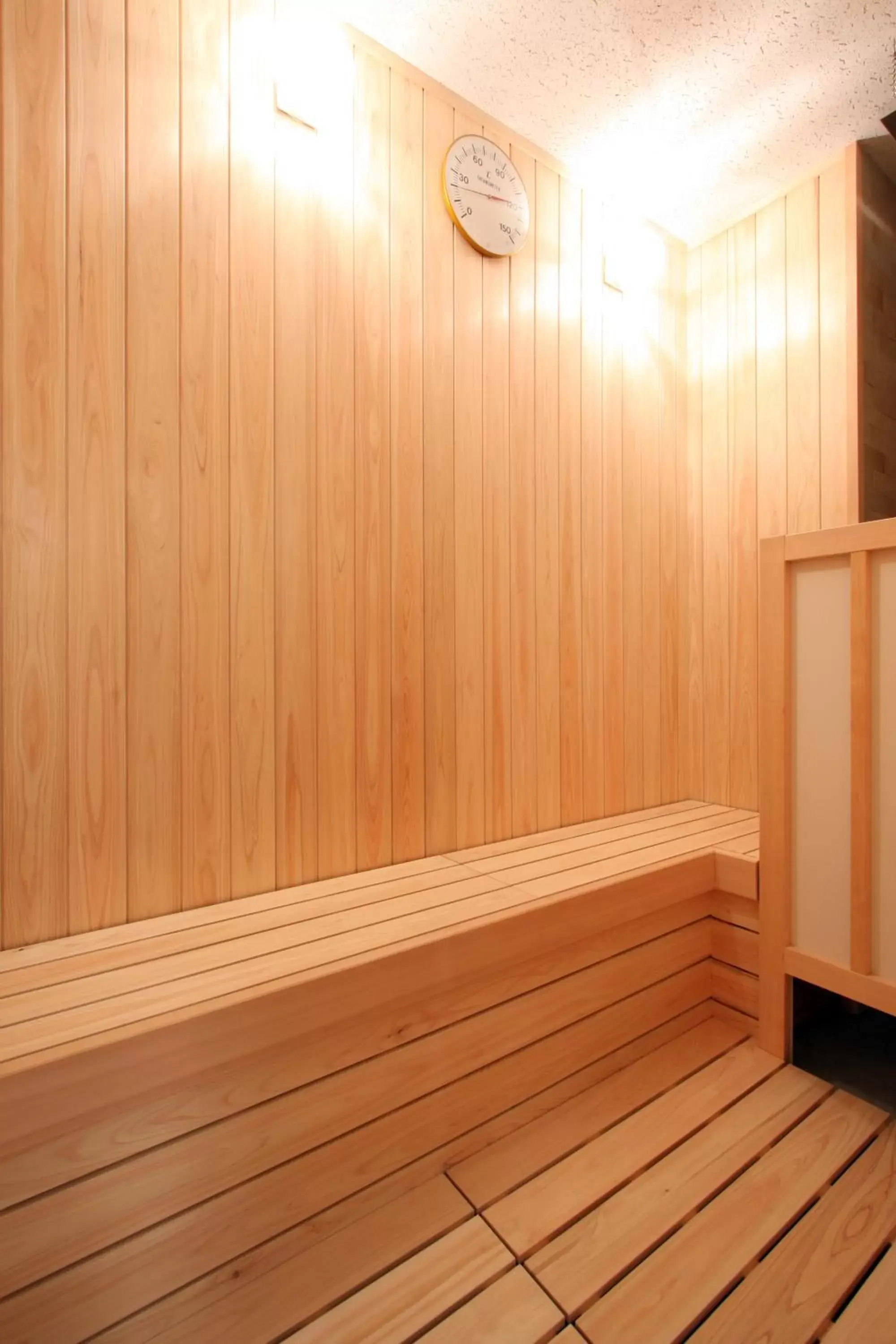 Sauna in Green Rich Hotel Hamada Ekimae (Artificial hot spring Futamata Yunohana)