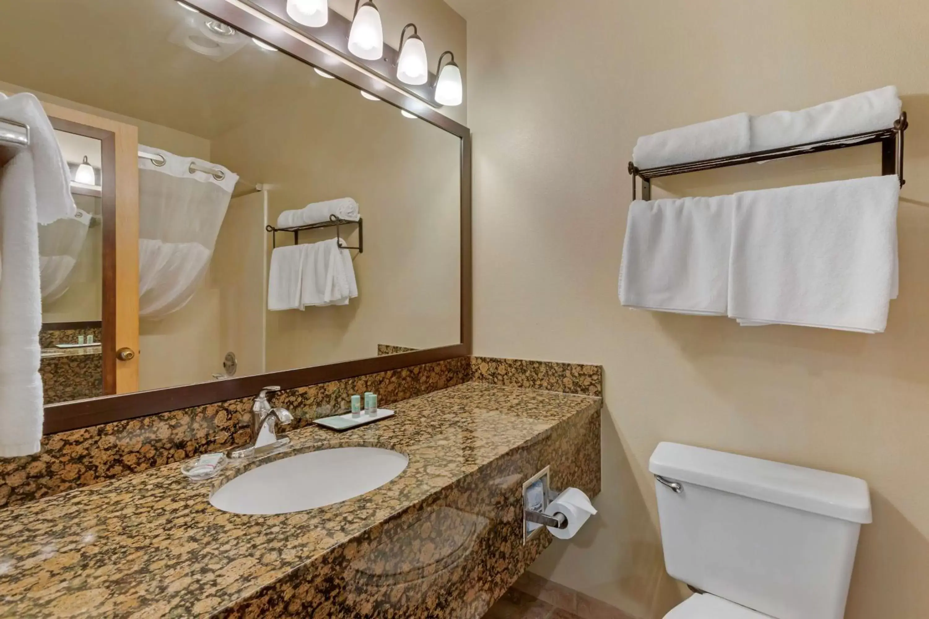 Photo of the whole room, Bathroom in Best Western Ponderosa Lodge
