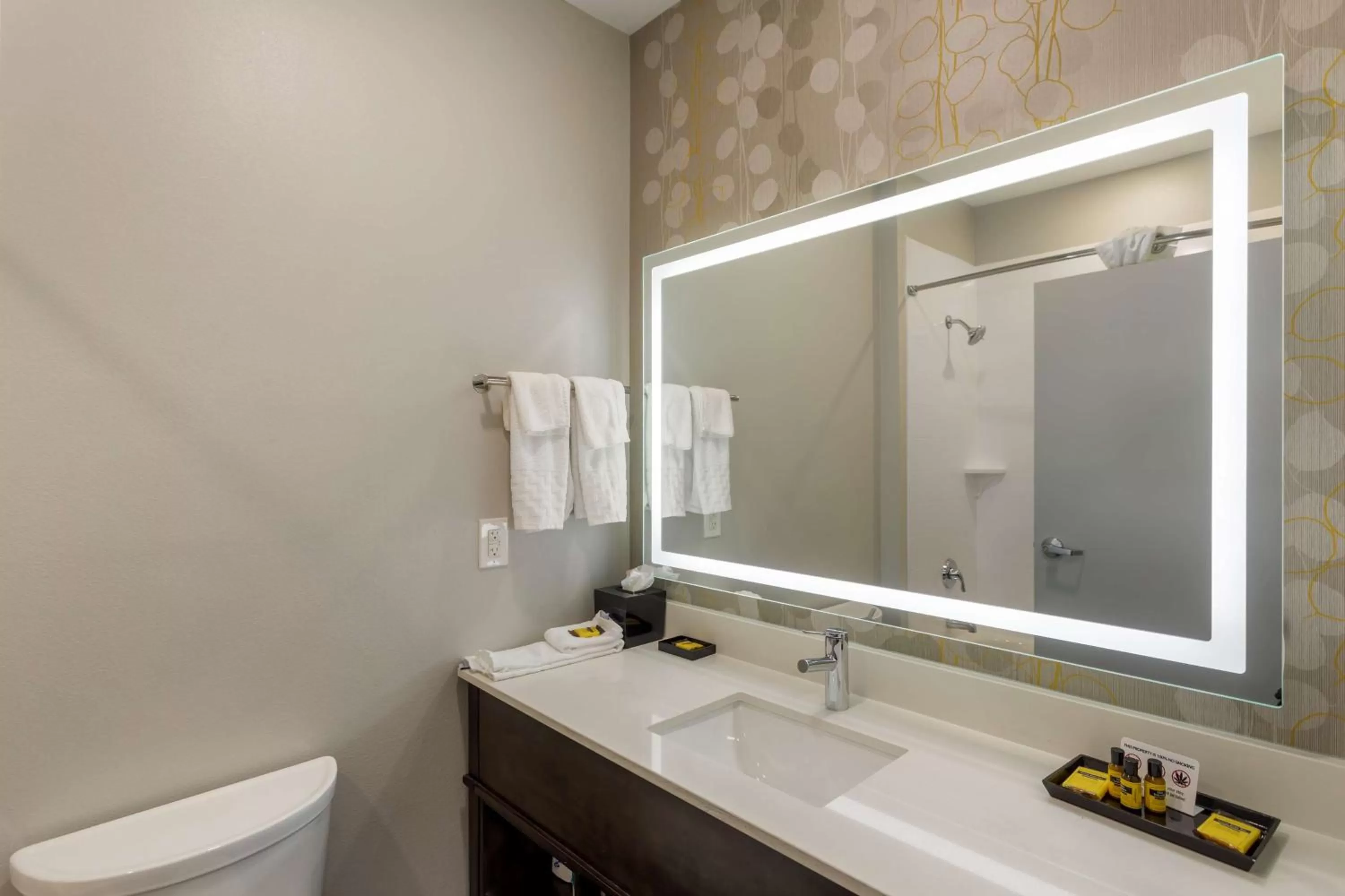 Bathroom in Best Western Plus Executive Residency Nashville Antioch